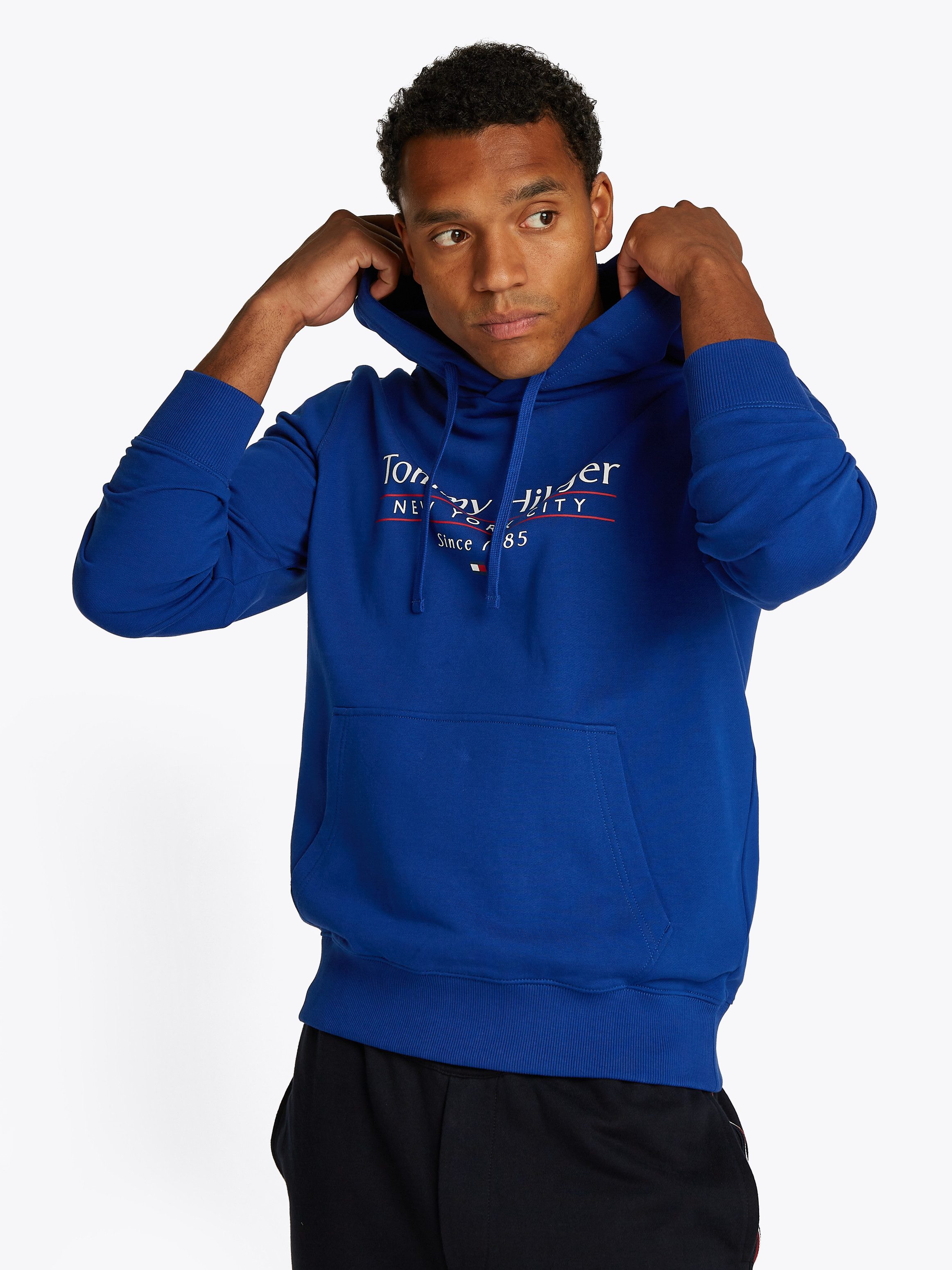 Tommy Hilfiger Hoodie HILFIGER CENTER STACK günstig online kaufen