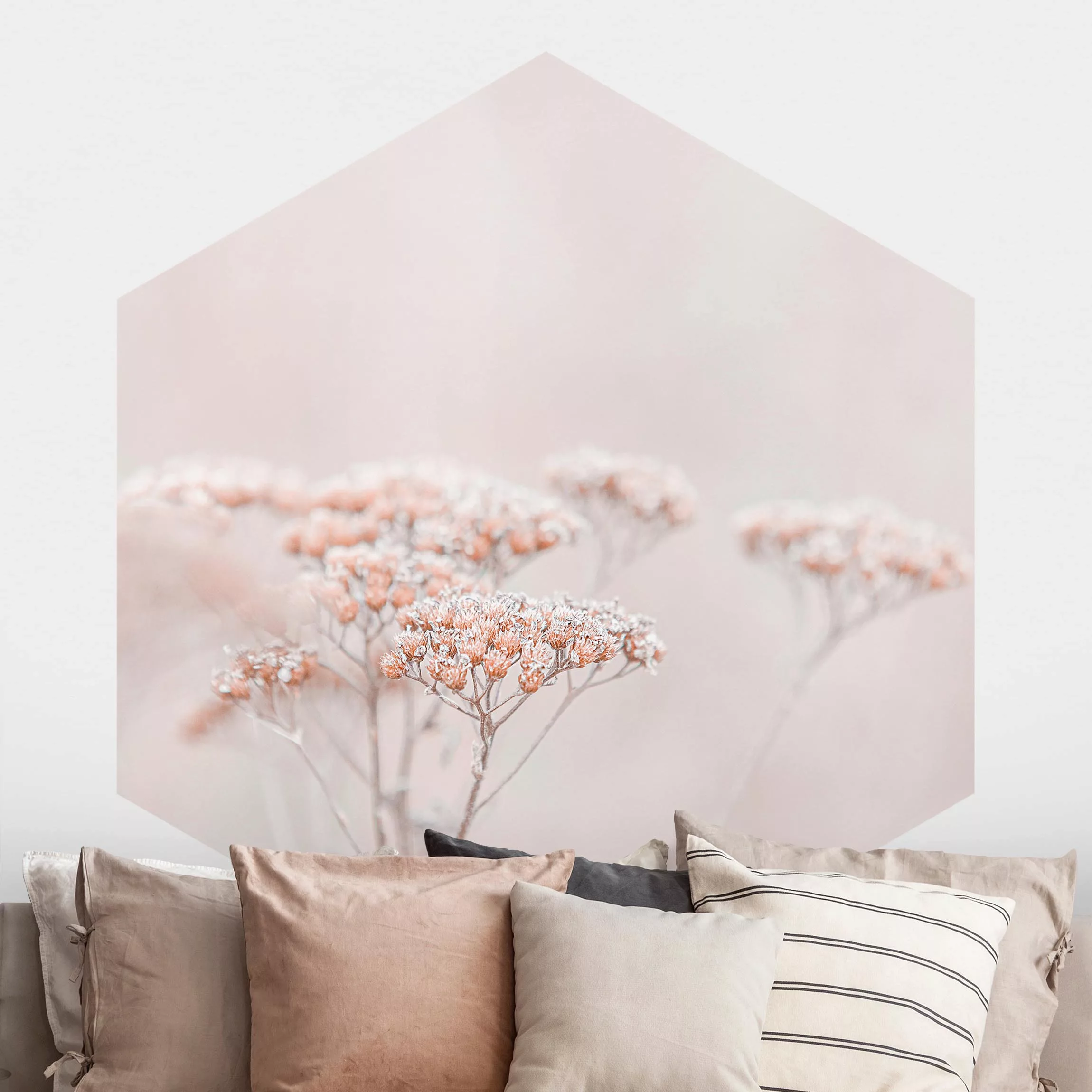 Hexagon Fototapete selbstklebend Zartrosane Wildblumen günstig online kaufen
