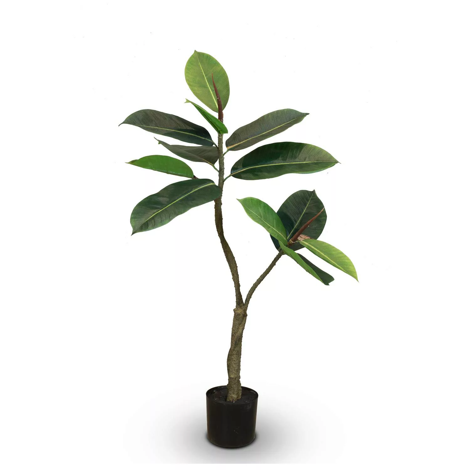 Ficus Elastica - Gummibaum Kunstpflanze 90 cm günstig online kaufen