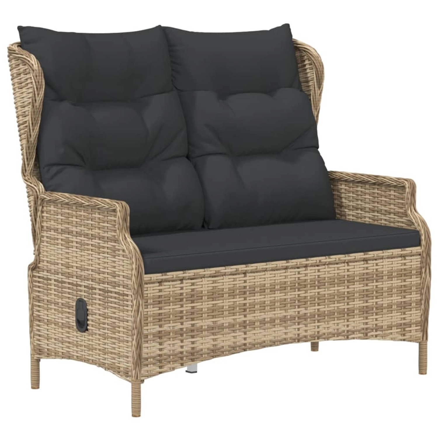 vidaXL Gartenbank 2-Sitzer mit Kissen Braun Poly Rattan günstig online kaufen