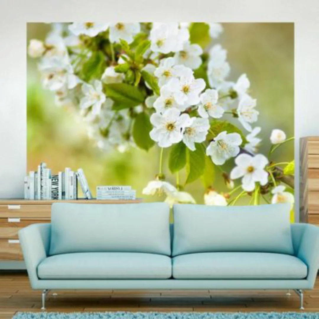 artgeist Fototapete Zweig mit weißen Kirschblüten mehrfarbig Gr. 400 x 309 günstig online kaufen