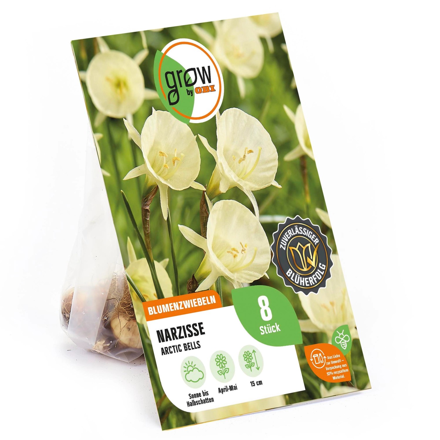 GROW by OBI Narzisse Arctic Bells Creme 8 Stück Narcissus bulbocodium günstig online kaufen