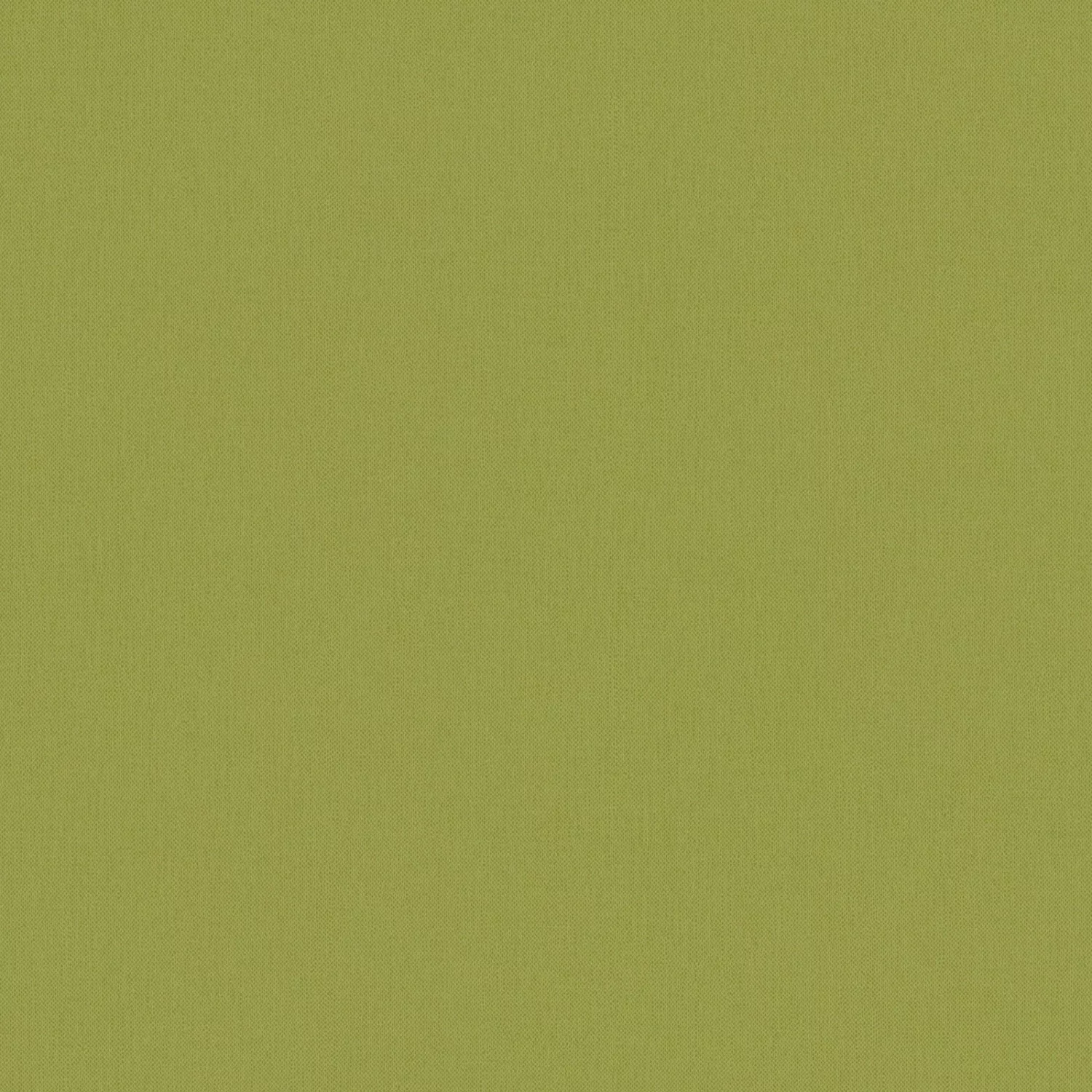 Bricoflor Grüne Vliestapete im Uni Stil Wohnzimmer und Esszimmer Tapete in günstig online kaufen