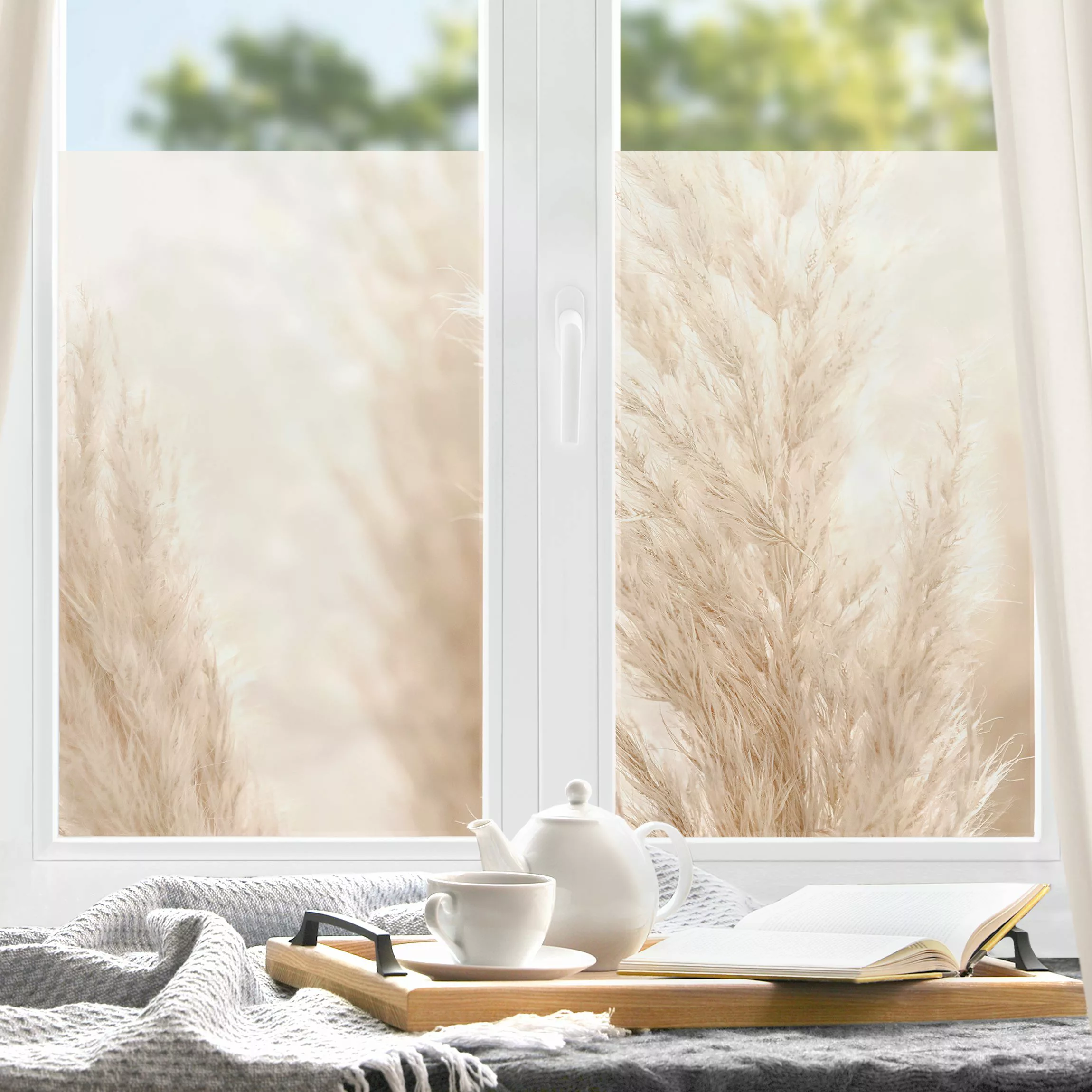 Fensterfolie Pampasgras im Sonnenlicht günstig online kaufen