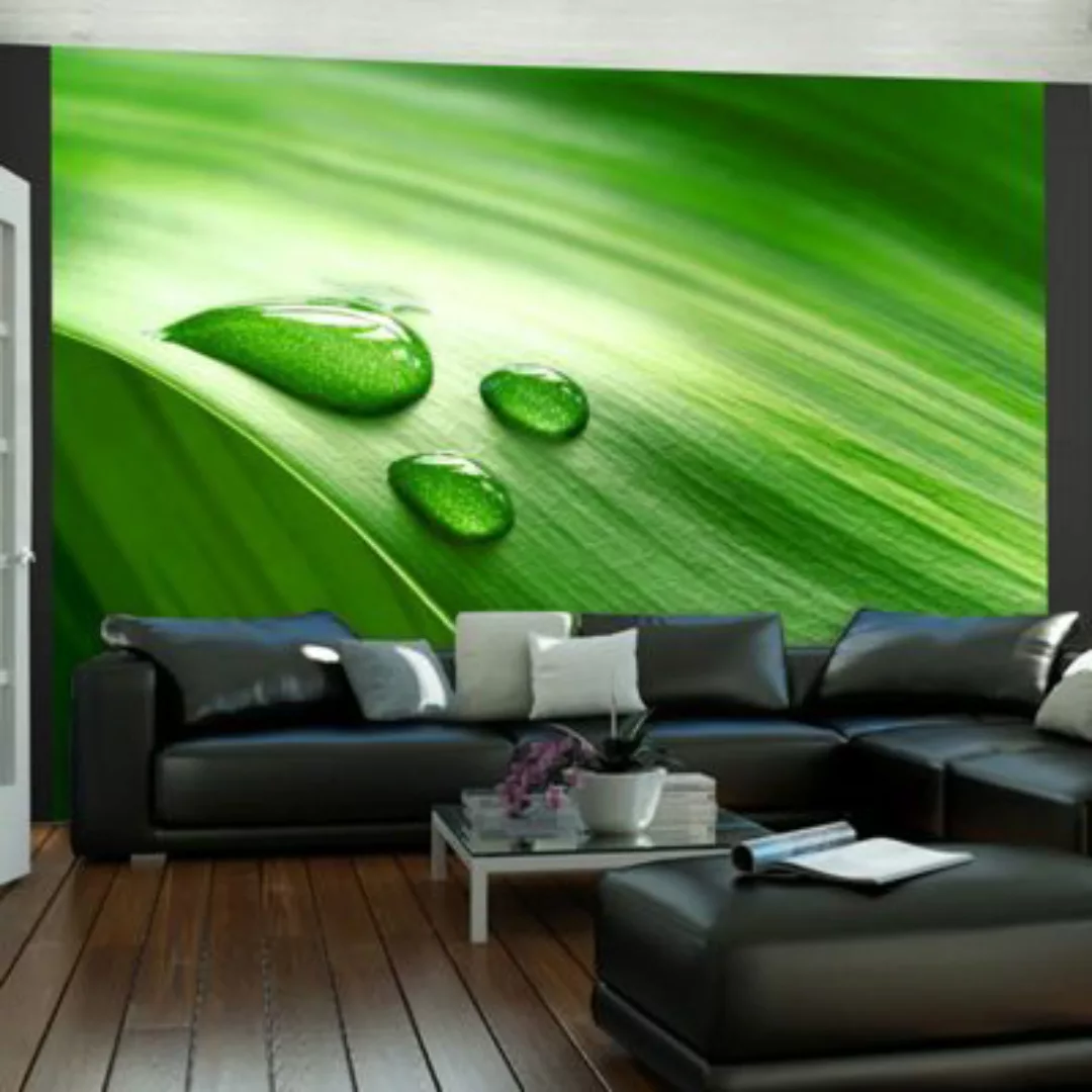 artgeist Fototapete Ein Blatt und drei Wassertropfen grün Gr. 400 x 309 günstig online kaufen