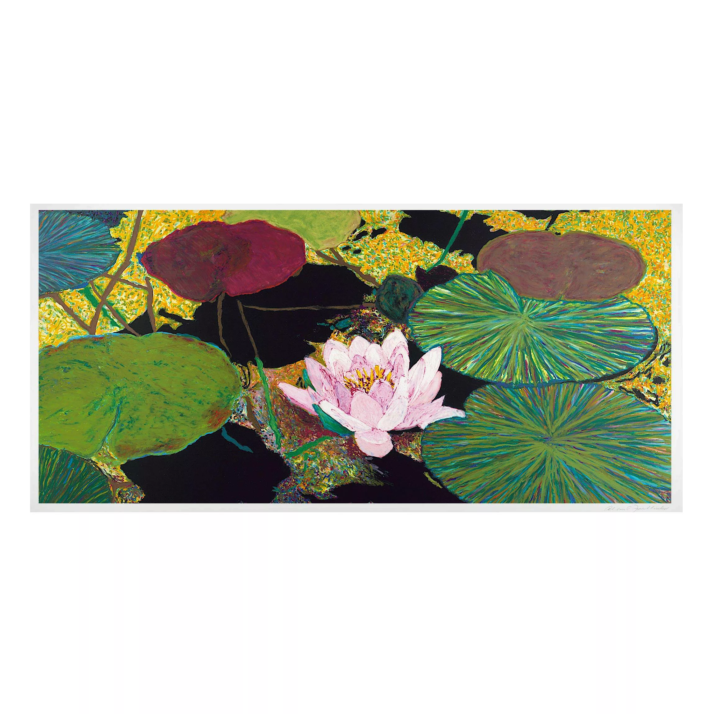Magnettafel Blumen - Querformat 2:1 Seerose mit Blätterm günstig online kaufen