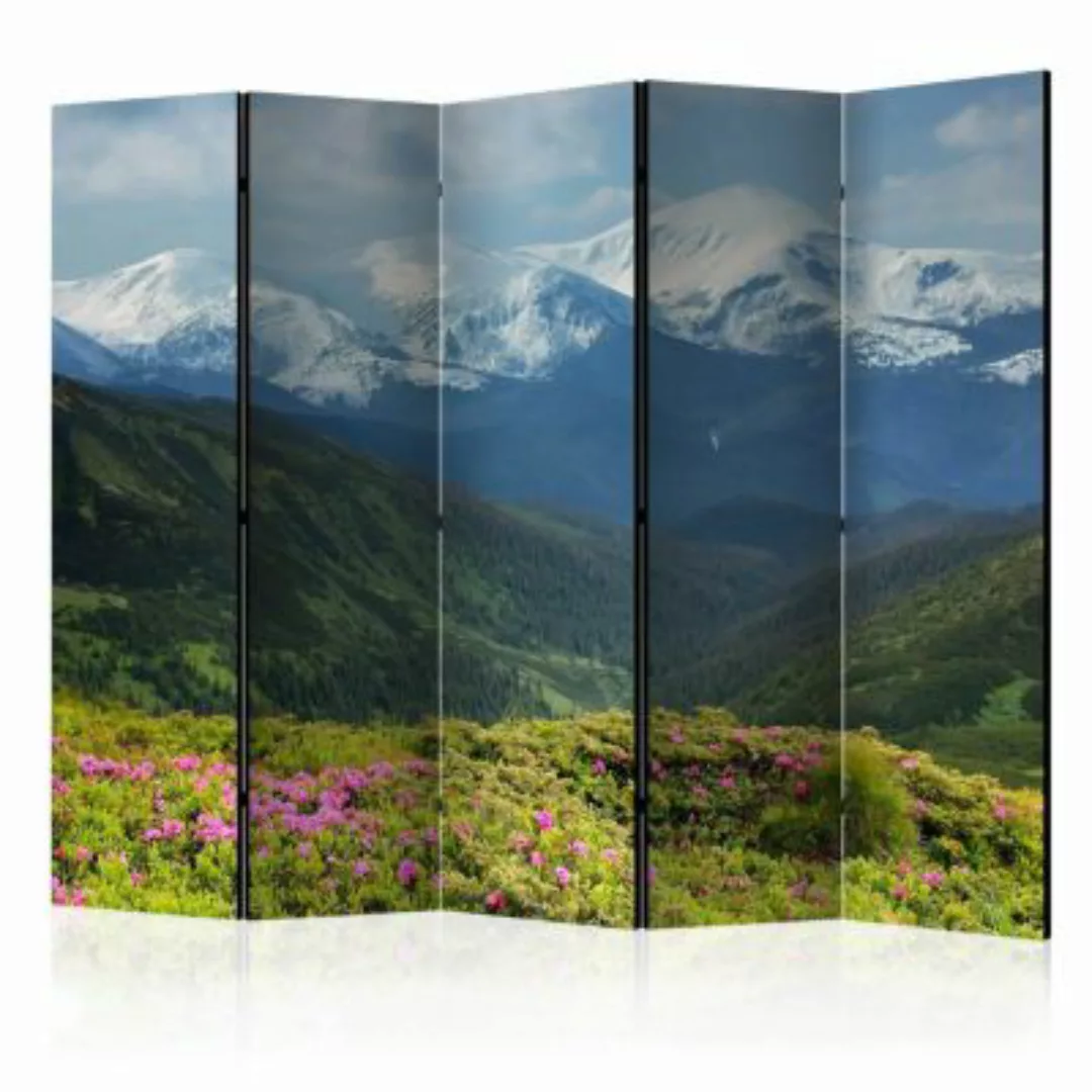 artgeist Paravent Spring mountain landscape II [Room Dividers] mehrfarbig G günstig online kaufen