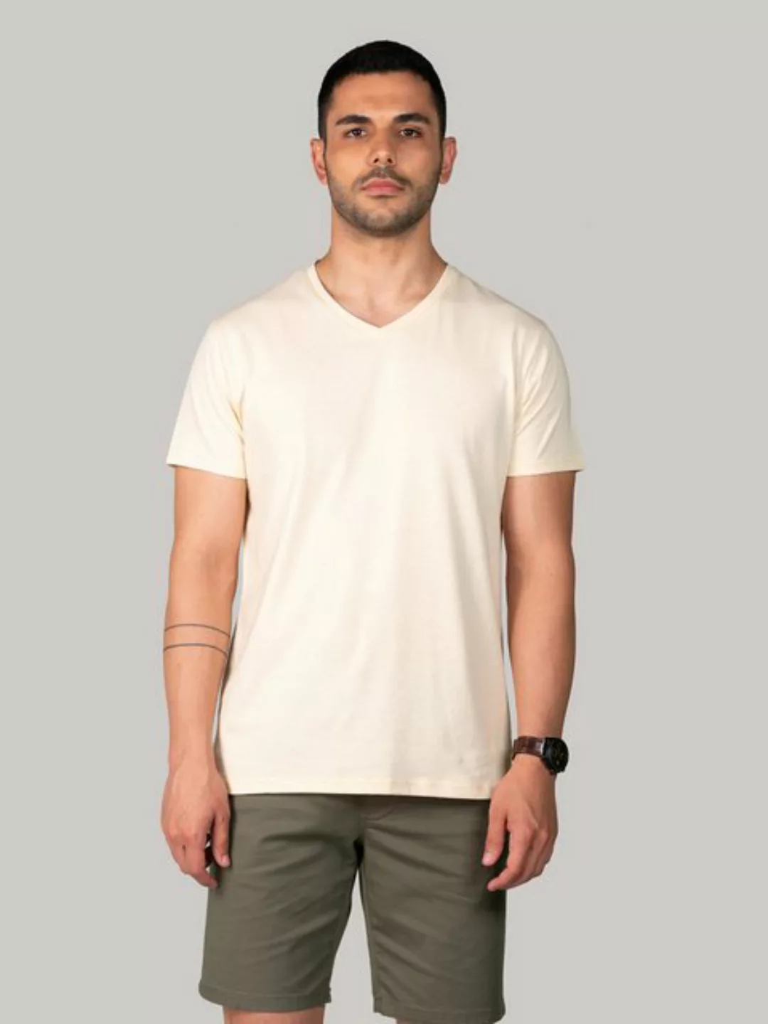 BLUVERD V-Shirt Basic-T-Shirt mit V-Ausschnitt günstig online kaufen