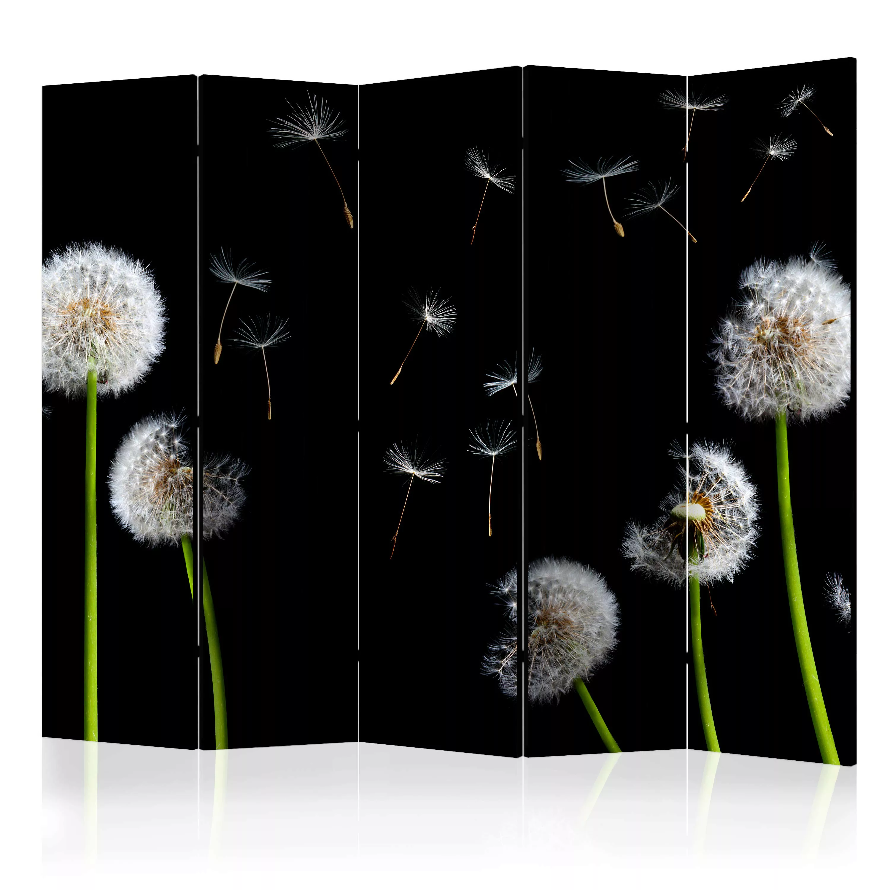 5-teiliges Paravent - Dandelions In The Wind Ii [room Dividers] günstig online kaufen