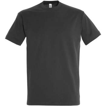 Sols  T-Shirt IMPERIAL camiseta color Gris Ratón-100% algodón günstig online kaufen