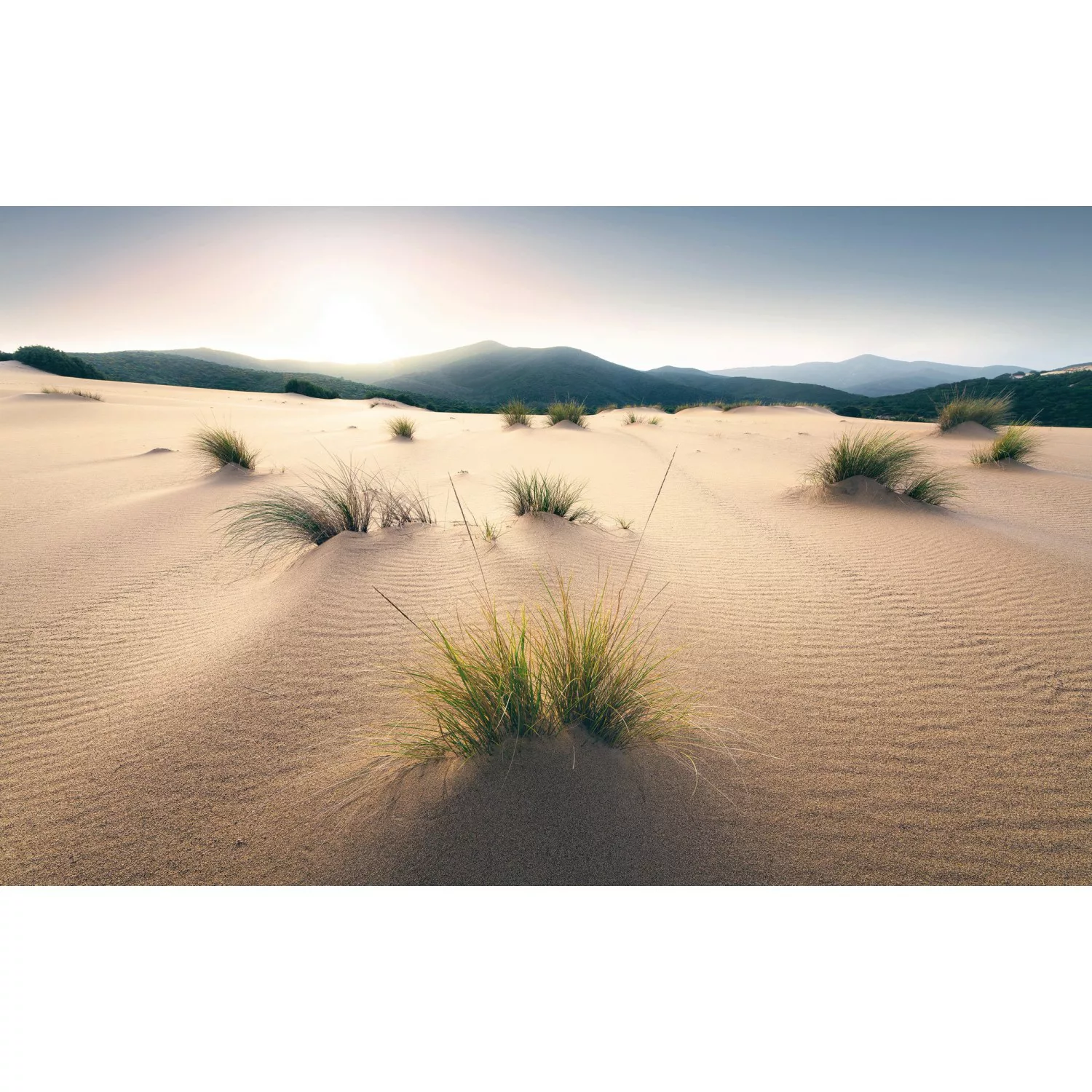 KOMAR Vlies Fototapete - Vivid Dunes - Größe 450 x 280 cm mehrfarbig günstig online kaufen