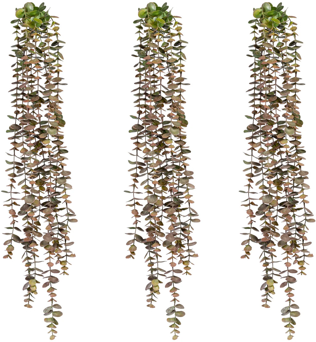 Creativ green Kunstranke "Eukalyptushänger", im 3er Set günstig online kaufen
