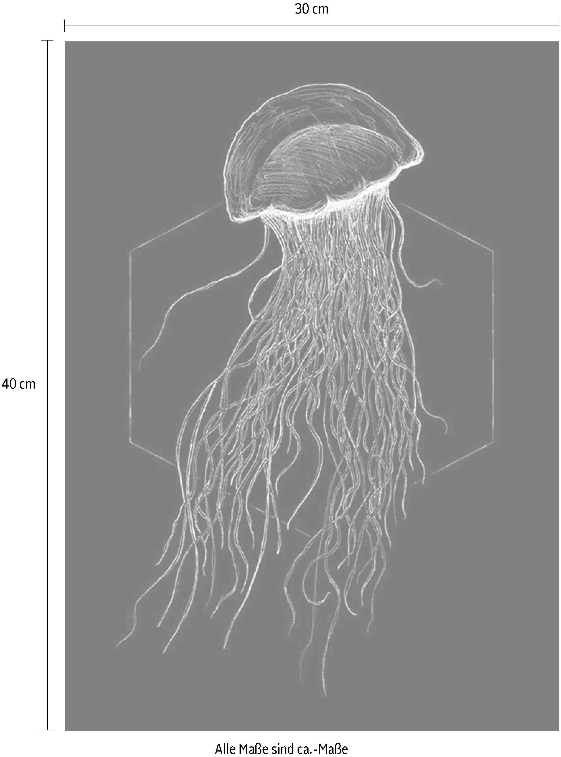 Komar Poster "Jellyfish Black", Tiere, (1 St.), Kinderzimmer, Schlafzimmer, günstig online kaufen