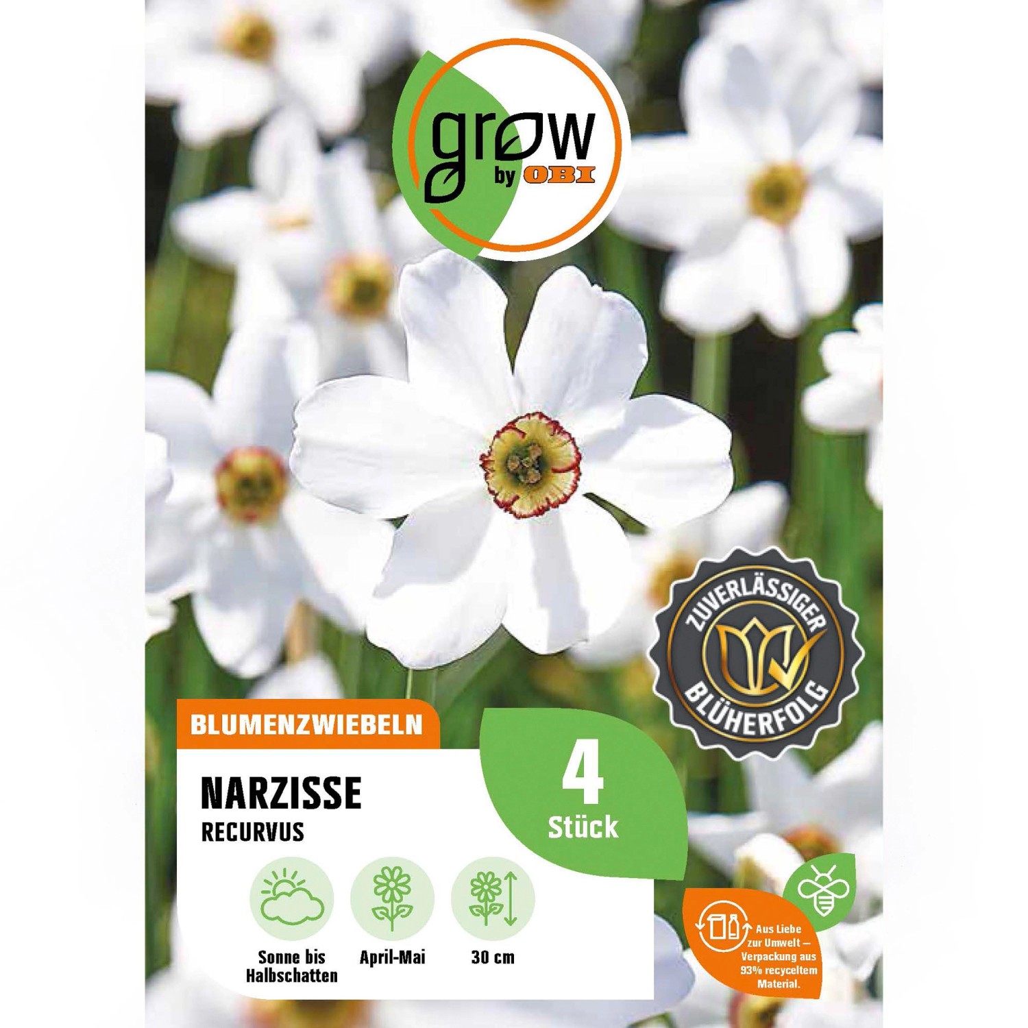 GROW by OBI Narzisse Recurvus Rot-Weiß 4 Stück Narcissus poeticus Recurvus günstig online kaufen
