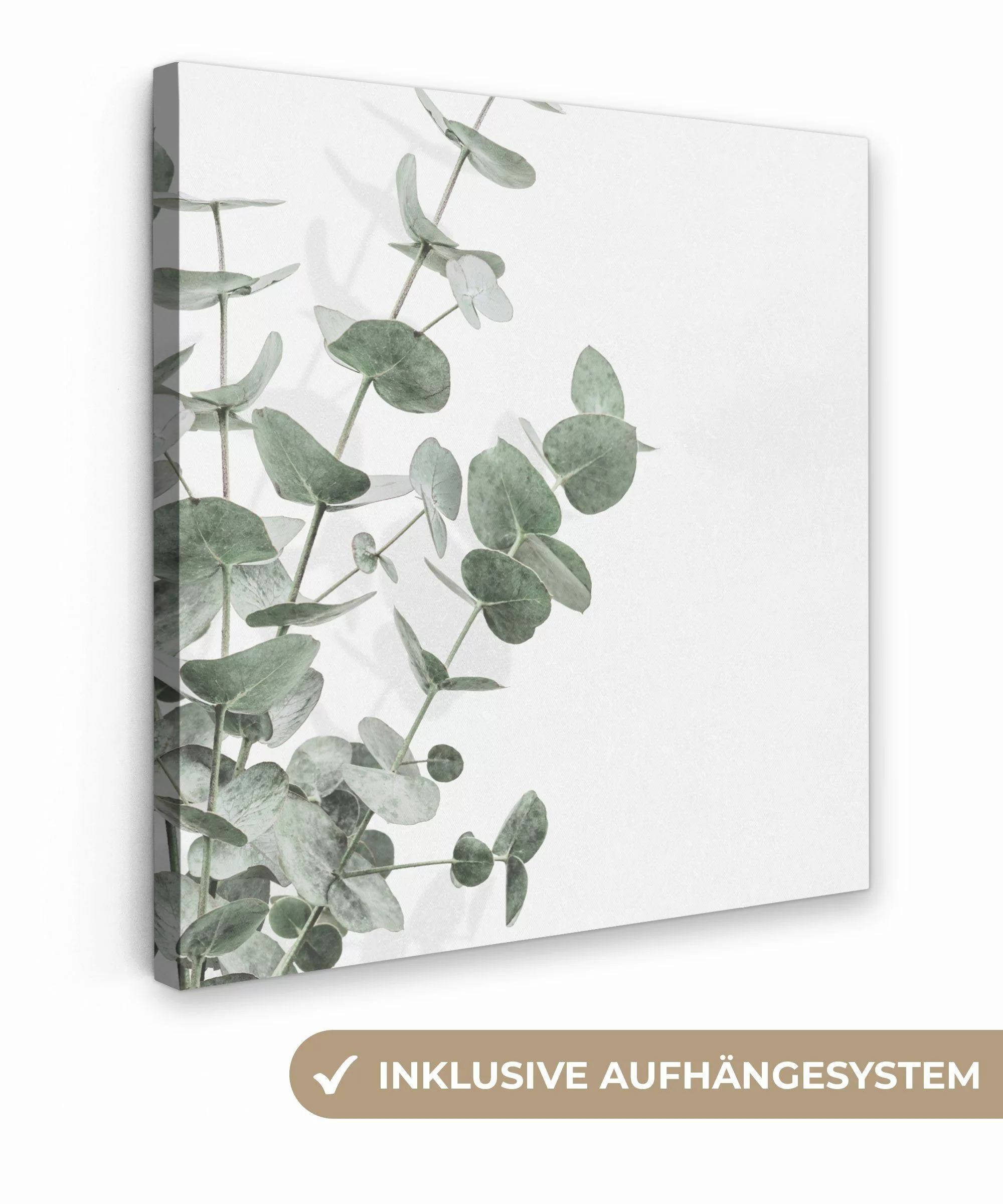 OneMillionCanvasses® Leinwandbild Eukalyptus - Blätter - günstig online kaufen