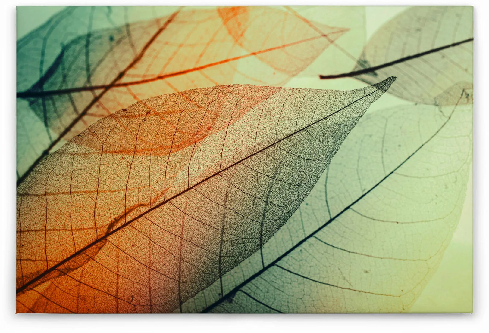 Bricoflor Herbst Wandbild Mit Grünen Blättern Wohnzimmer Und Flur Leinwand günstig online kaufen