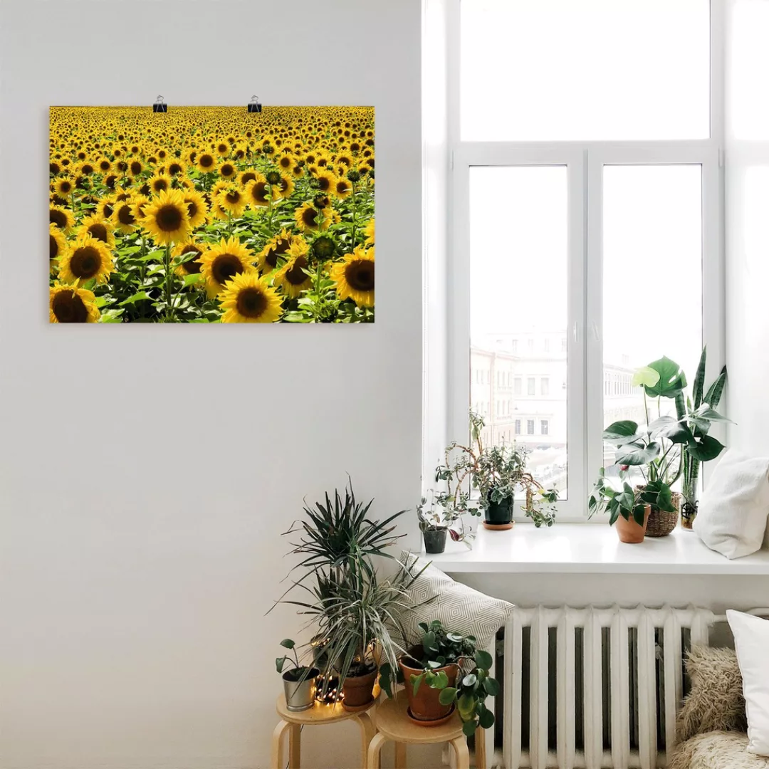 Artland Wandbild "Sonnenblumenfeld", Blumen, (1 St.), als Alubild, Outdoorb günstig online kaufen