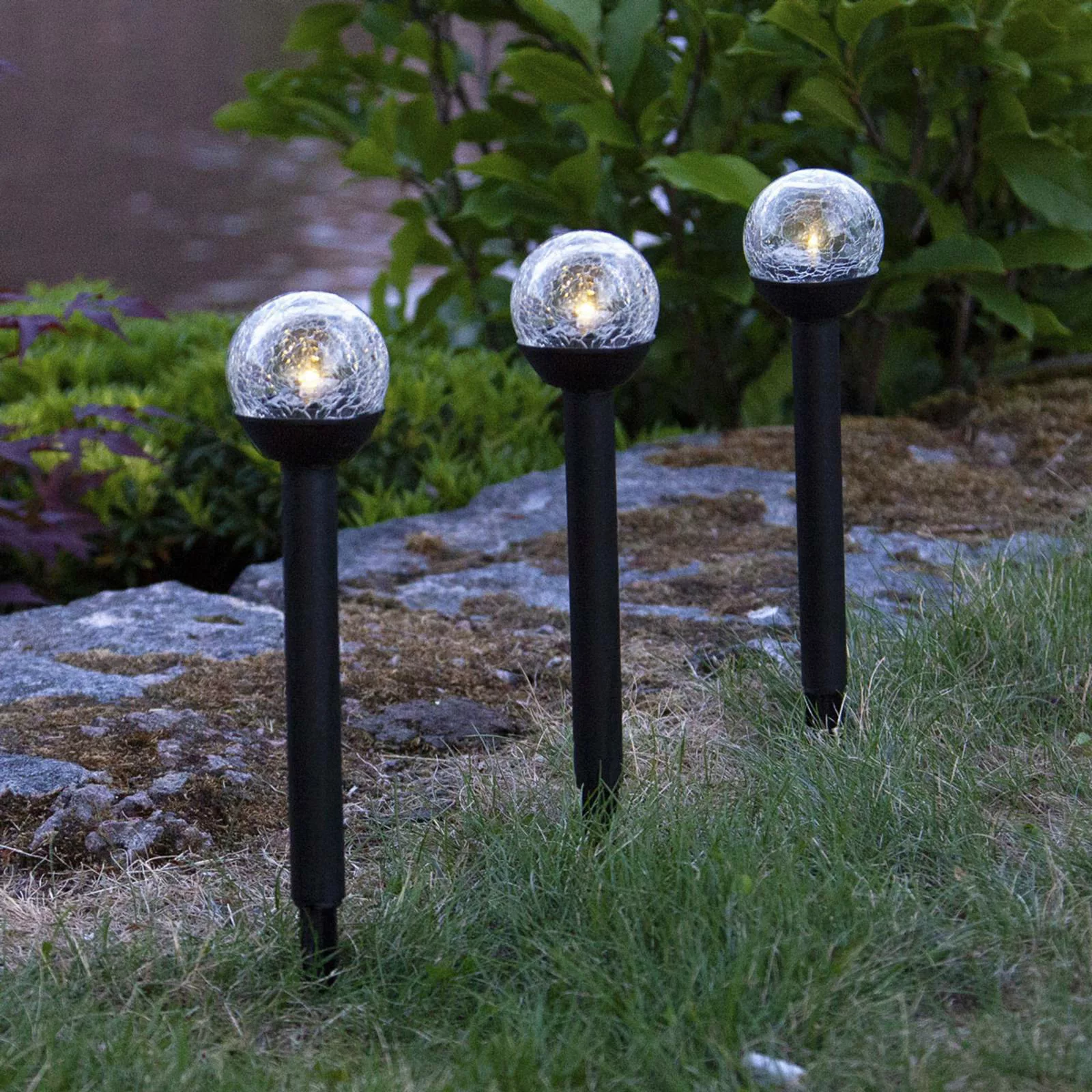 LED Solarleuchte Roma in Schwarz mit klarem Glas 3er-Set günstig online kaufen