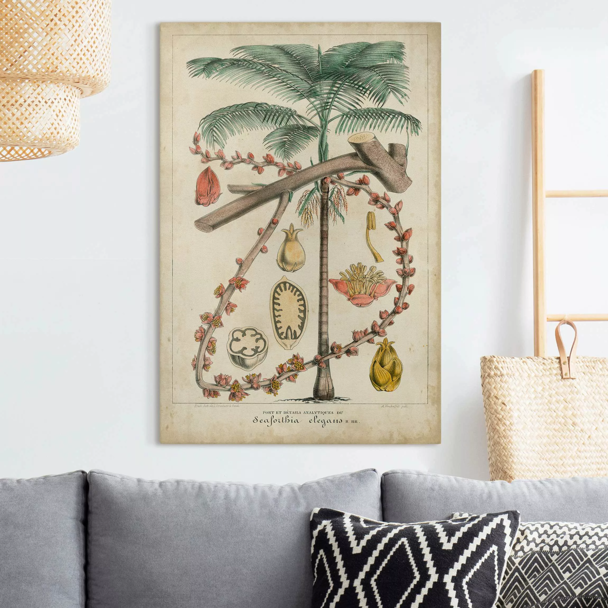 Leinwandbild Vintage Lehrtafel Exotische palmen II günstig online kaufen
