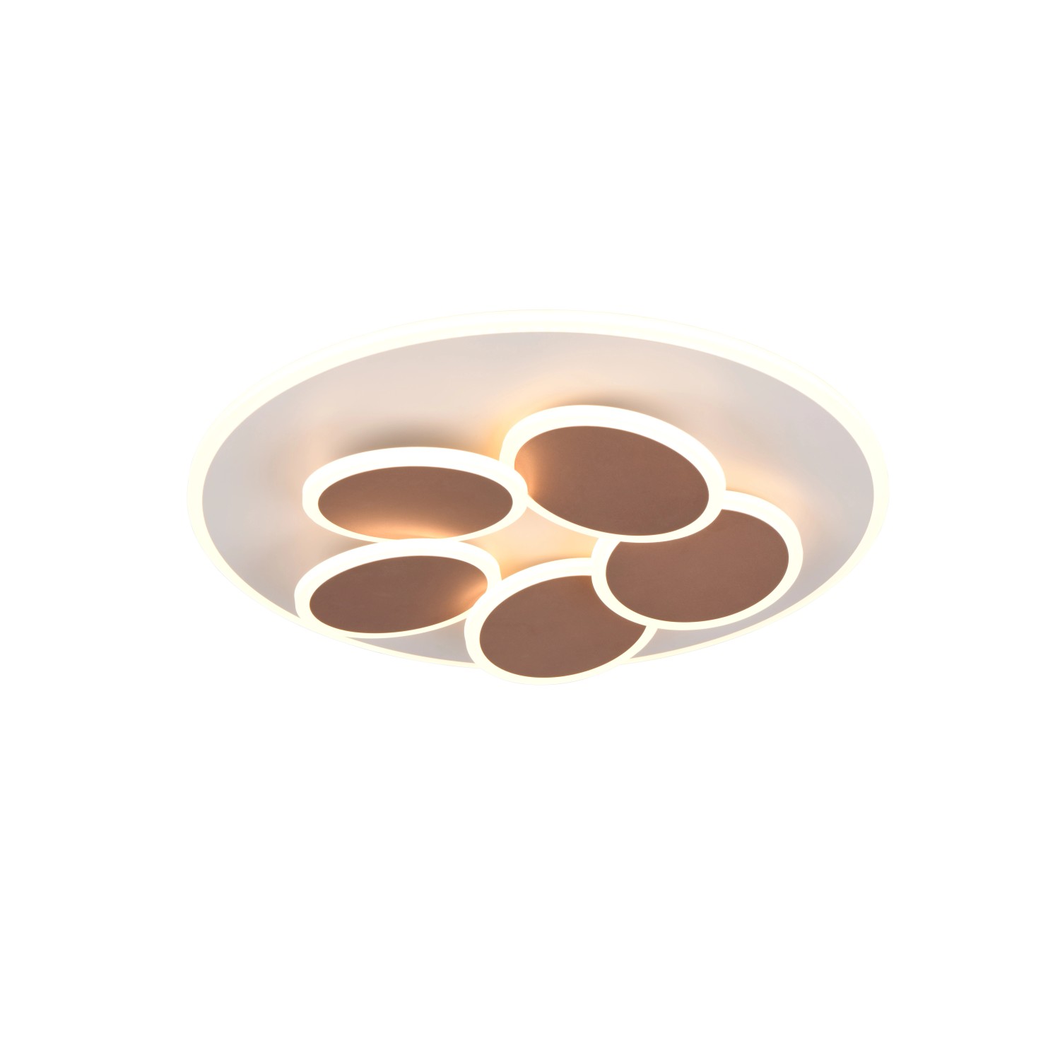 Trio LED Deckenleuchte Mandala 7,5 cm x 49 cm x 49 cm Warm-Grey günstig online kaufen