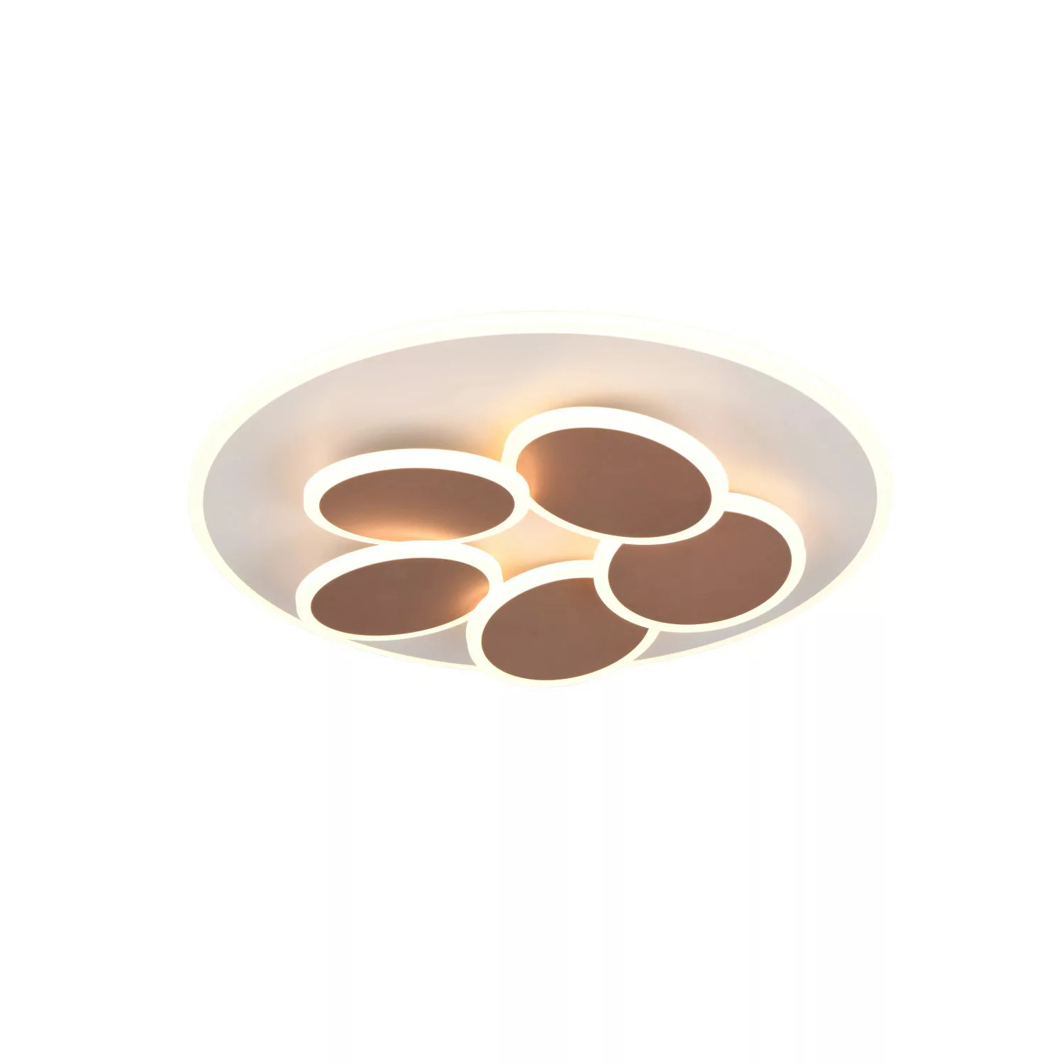 Trio LED Deckenleuchte Mandala 7,5 cm x 49 cm x 49 cm Warm-Grey günstig online kaufen