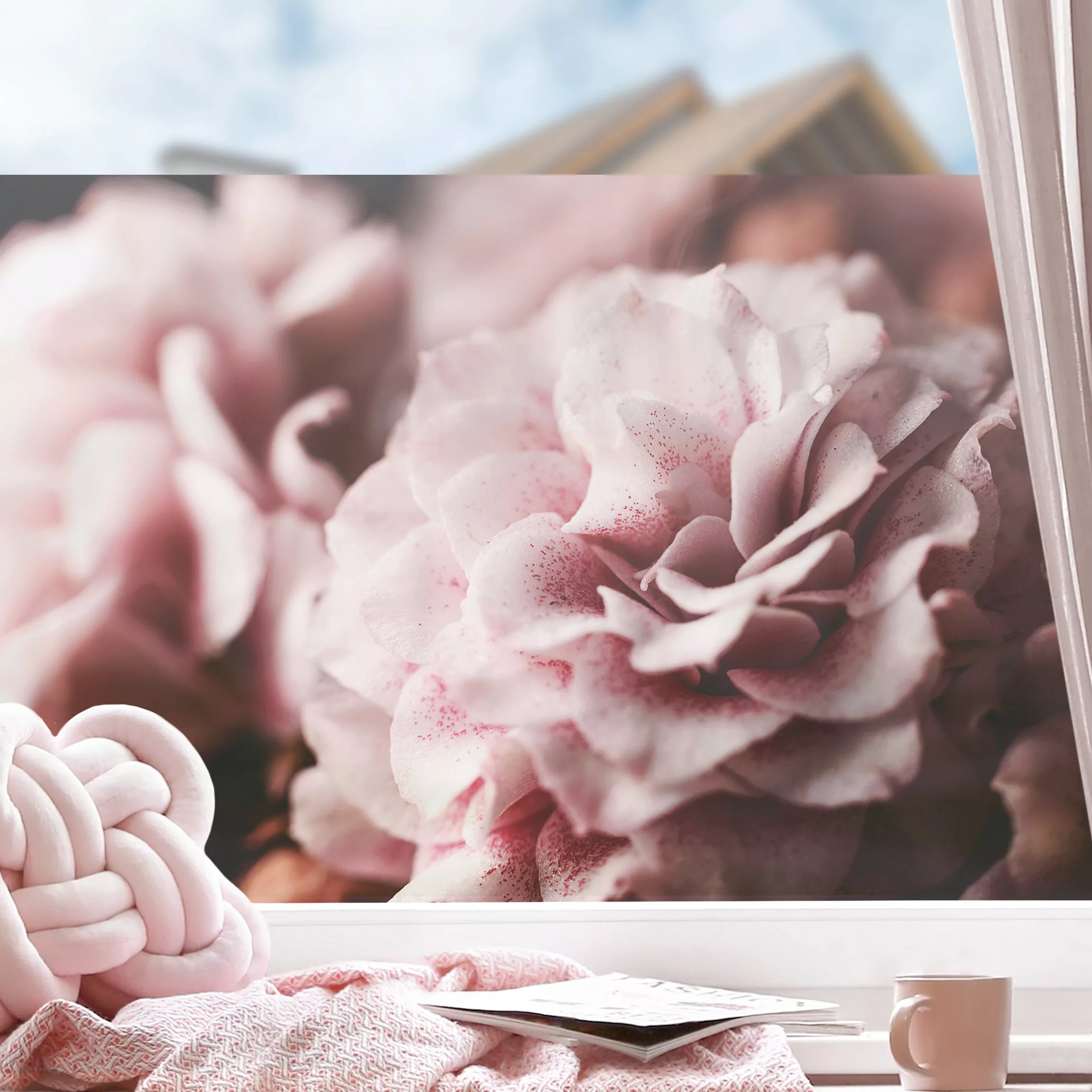 Fensterfolie Shabby Rosa Rose Pastell günstig online kaufen