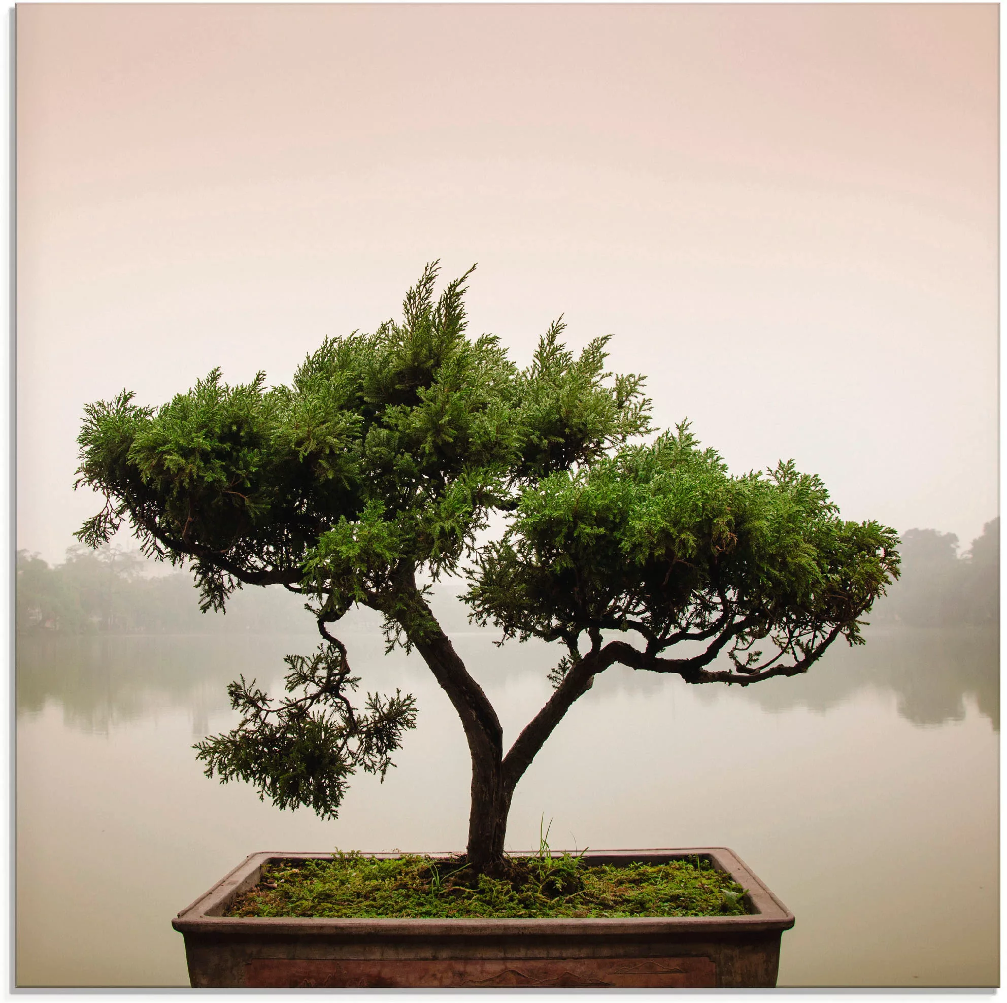 Artland Glasbild »Chinesischer Bonsaibaum«, Bäume, (1 St.) günstig online kaufen
