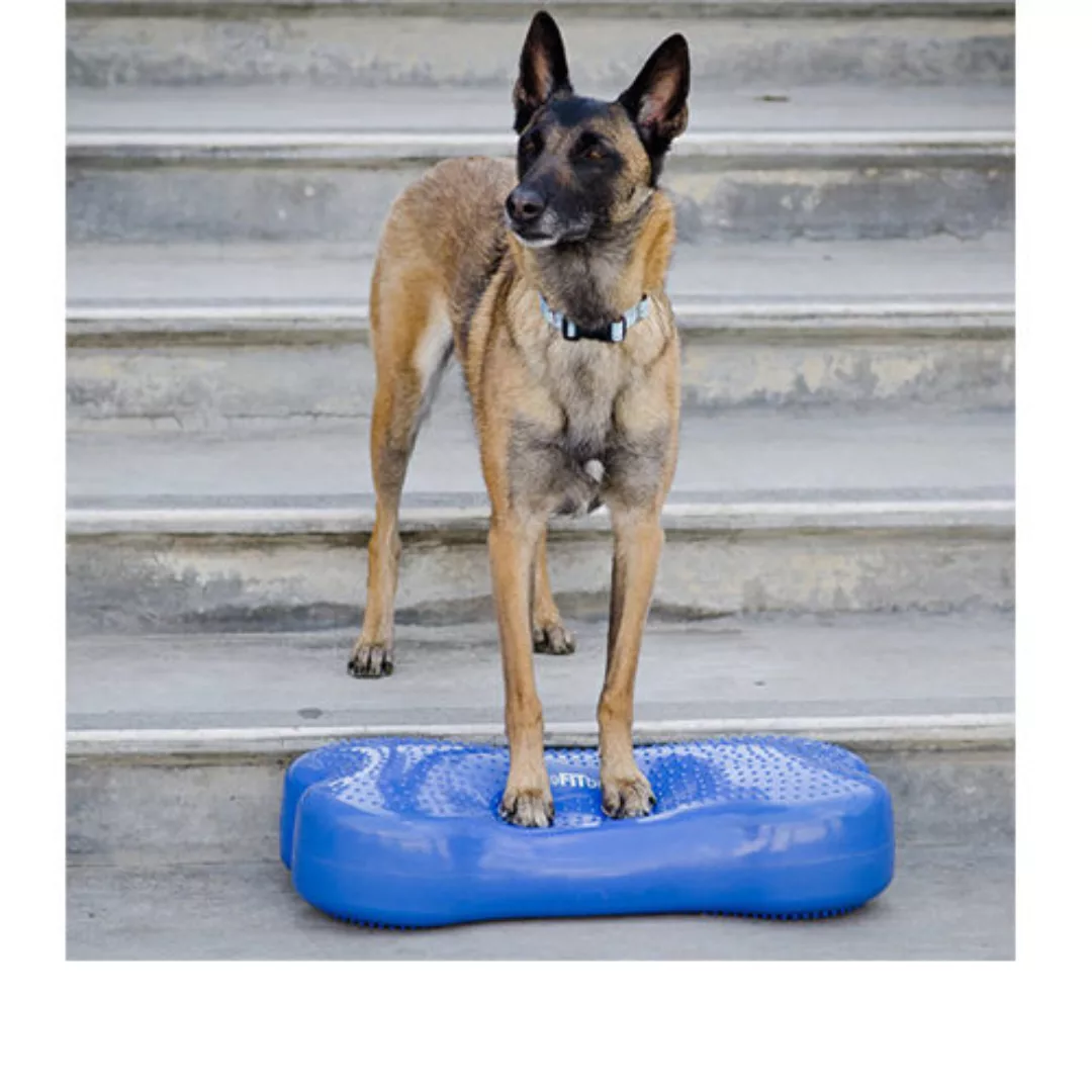 Balance-spielzeug K9fitbone 58 X 29 Cm Pvc Blau günstig online kaufen