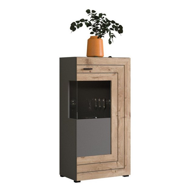 Mehrzweckschrank Freno (Vitrine 1-türig, 60 x 118 cm) Basalt grau und Eiche günstig online kaufen