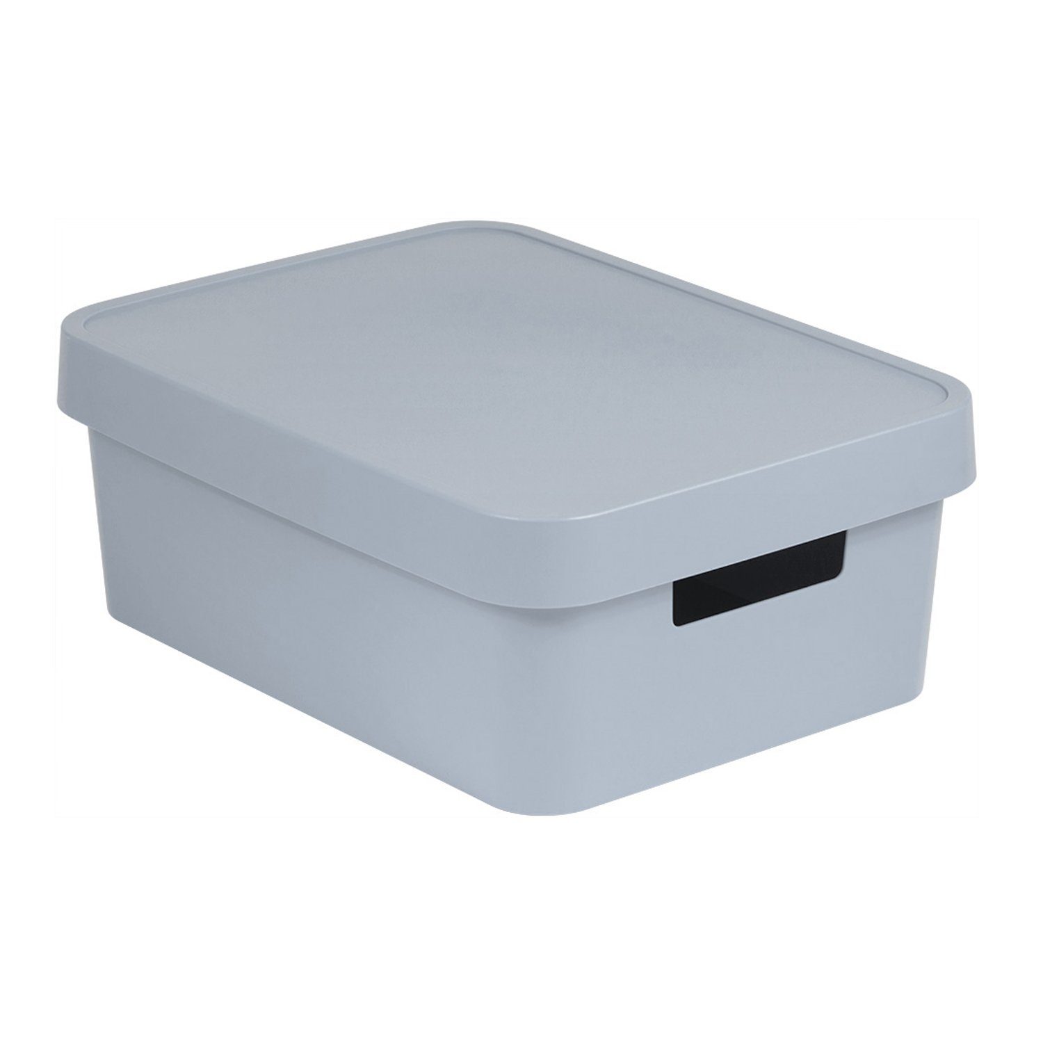 Curver Aufbewahrungsbox, Behälter mit Deckel Infinity günstig online kaufen