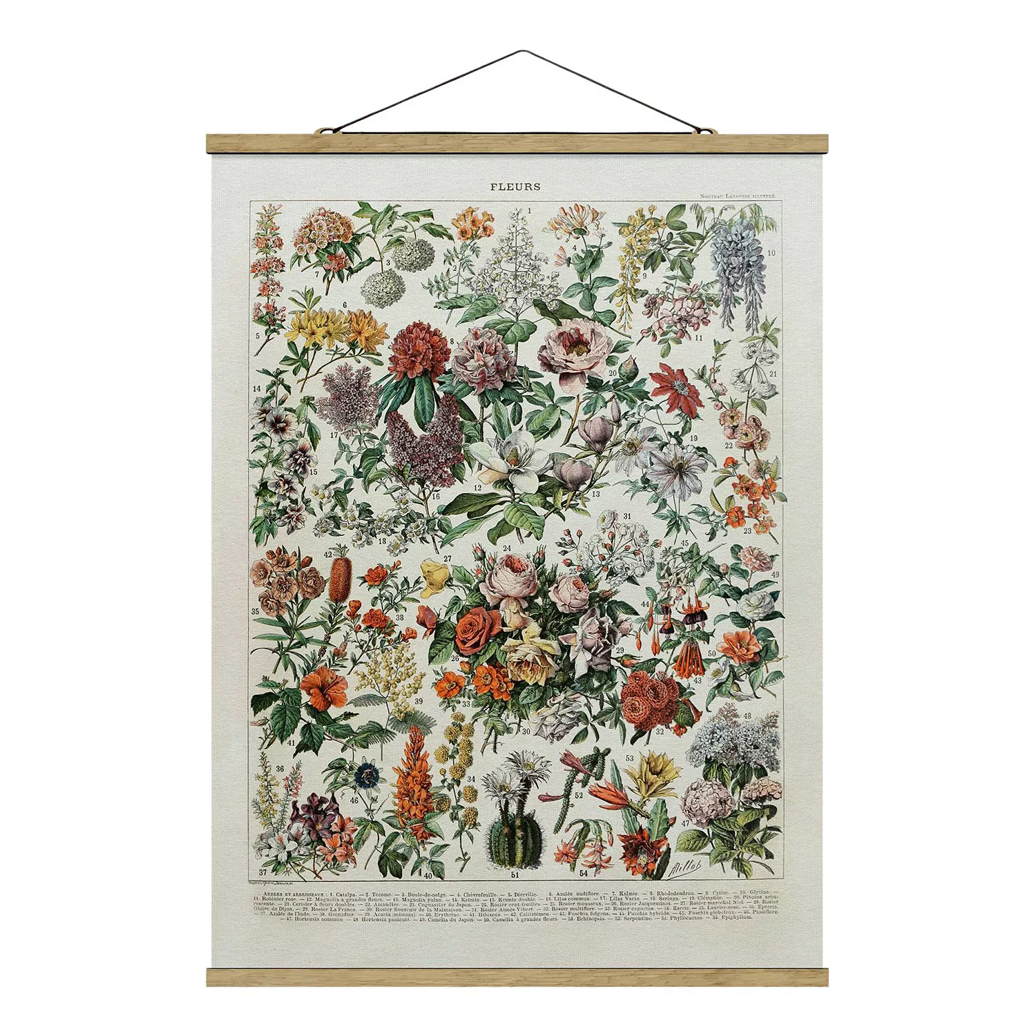 Stoffbild Blumen mit Posterleisten - Hochformat Vintage Lehrtafel Blumen II günstig online kaufen