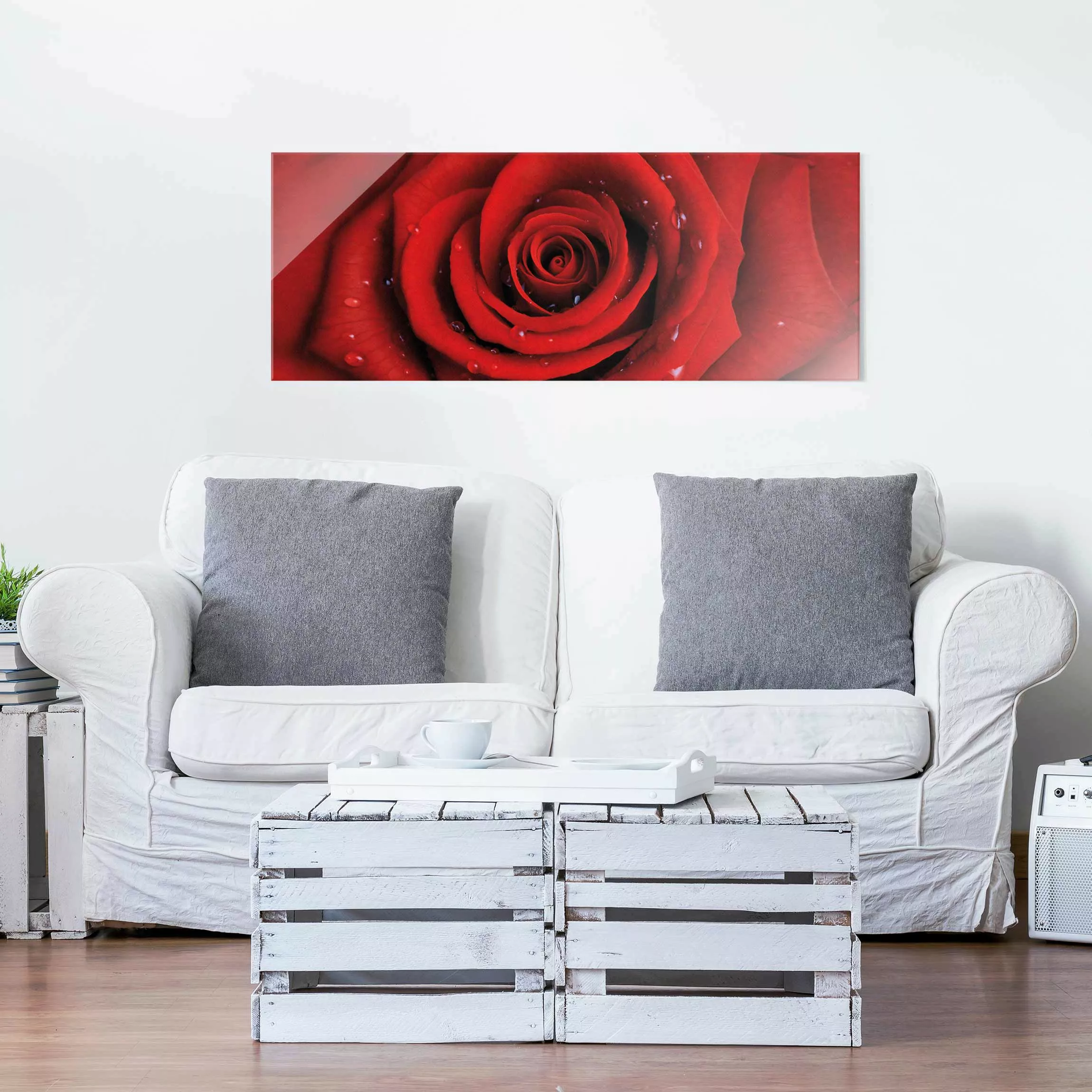 Glasbild Blumen - Panorama Rote Rose mit Wassertropfen günstig online kaufen