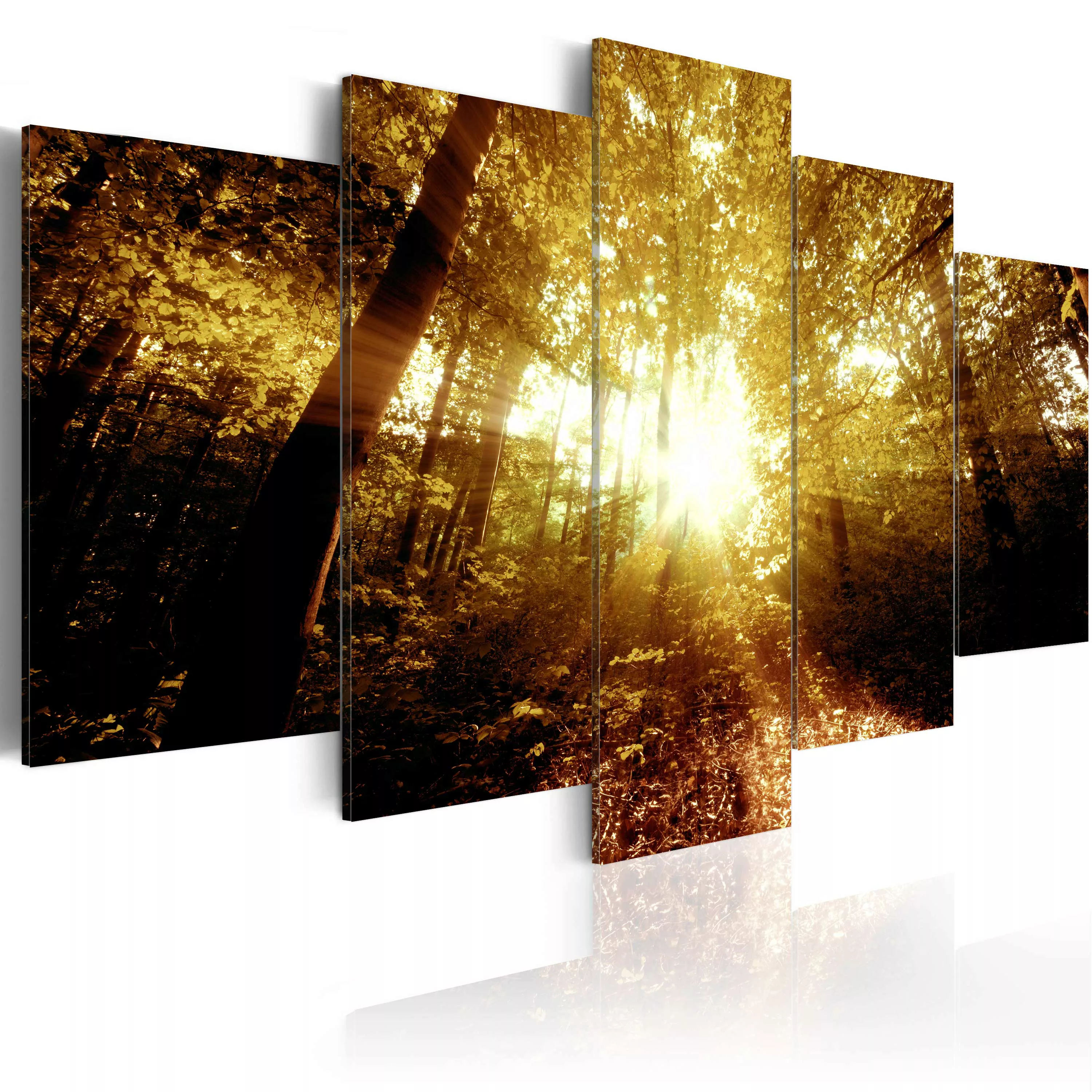 Wandbild - Autumn Forest günstig online kaufen