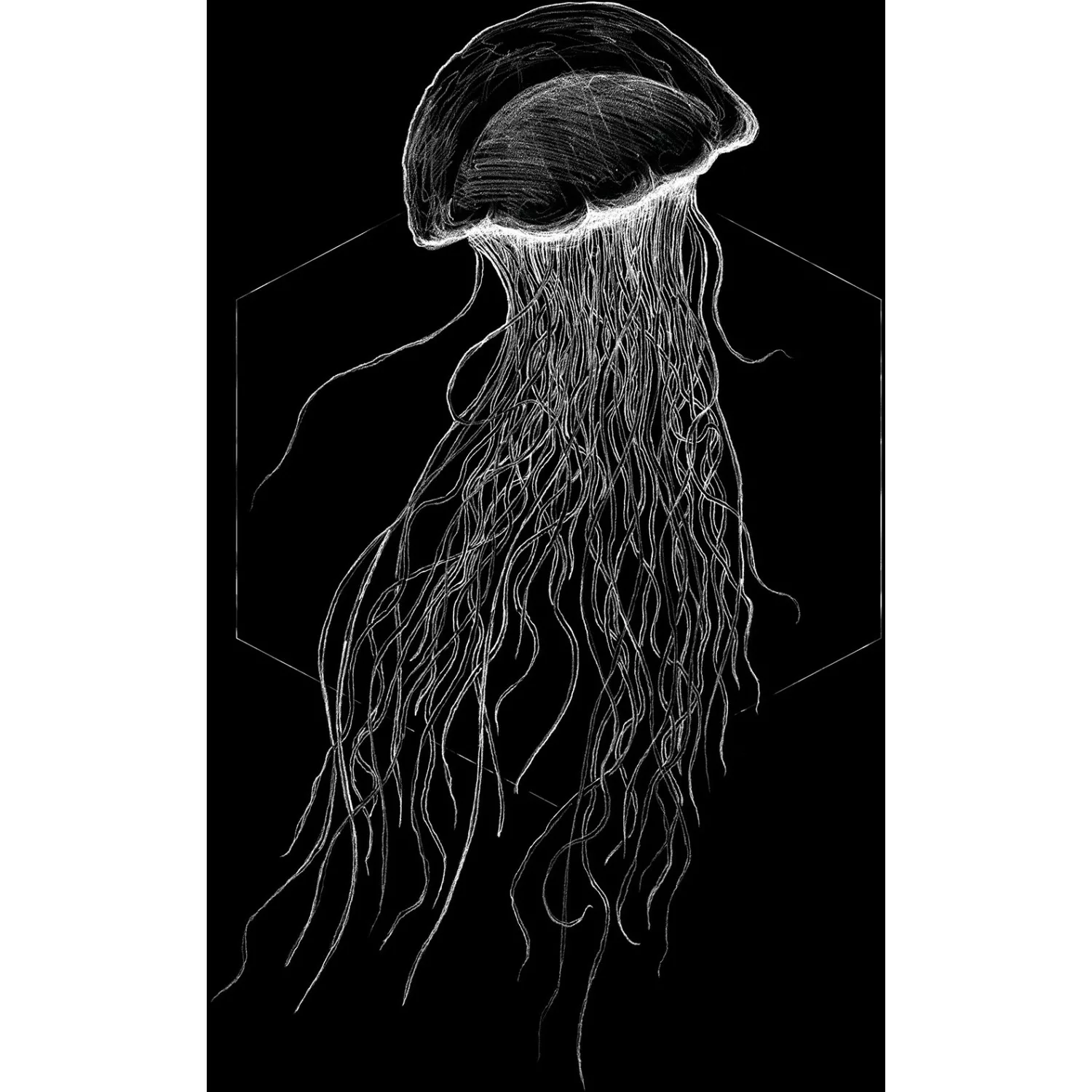 Komar Poster »Jellyfish Black«, Tiere, (1 St.) günstig online kaufen