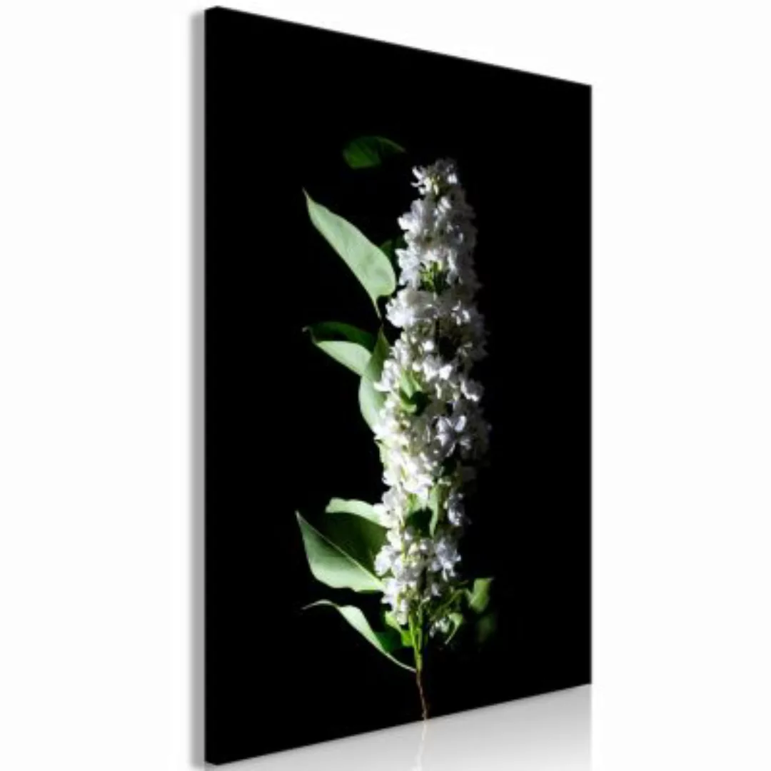 artgeist Wandbild White Lilacs (1 Part) Vertical mehrfarbig Gr. 40 x 60 günstig online kaufen