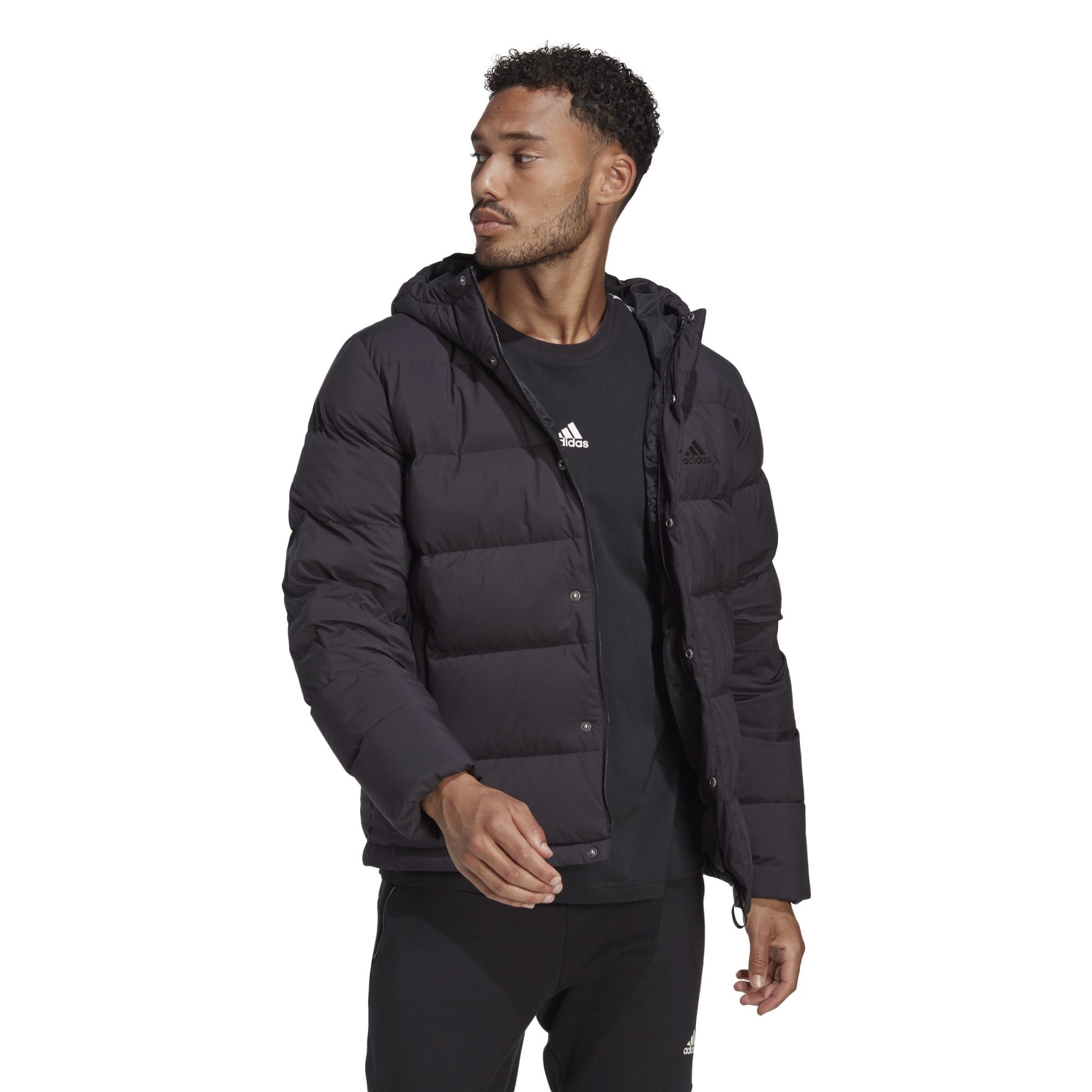 adidas Performance Daunenjacke adidas Herren Daunenjacke günstig online kaufen