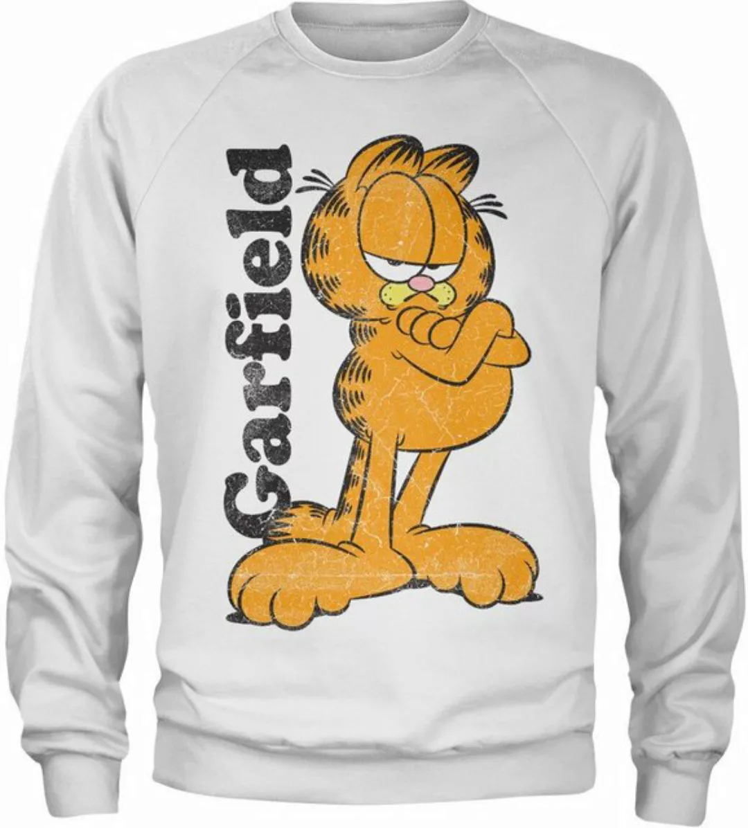 Garfield Rundhalspullover günstig online kaufen