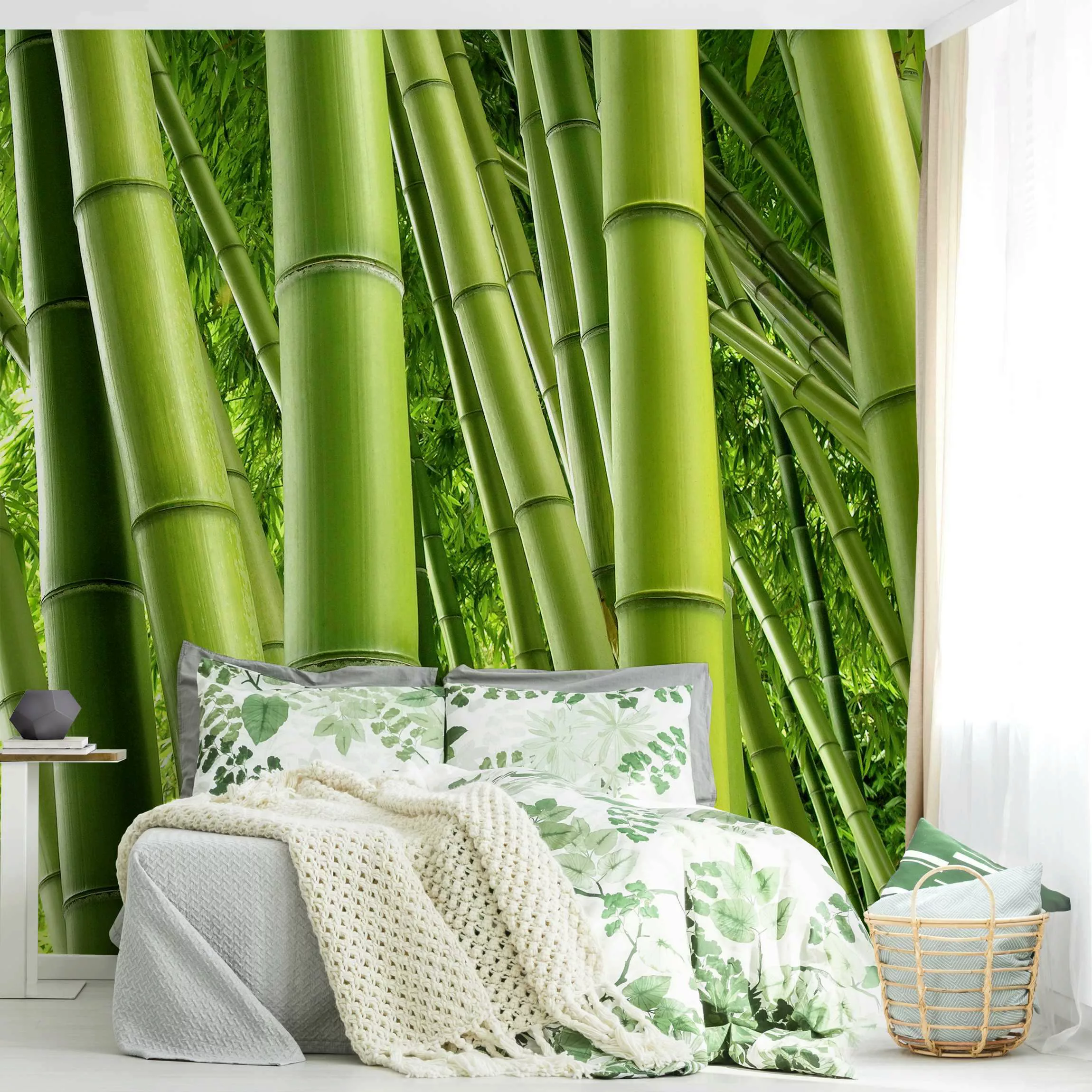 Bilderwelten Fototapete Bamboo Trees grün Gr. 192 x 192 günstig online kaufen