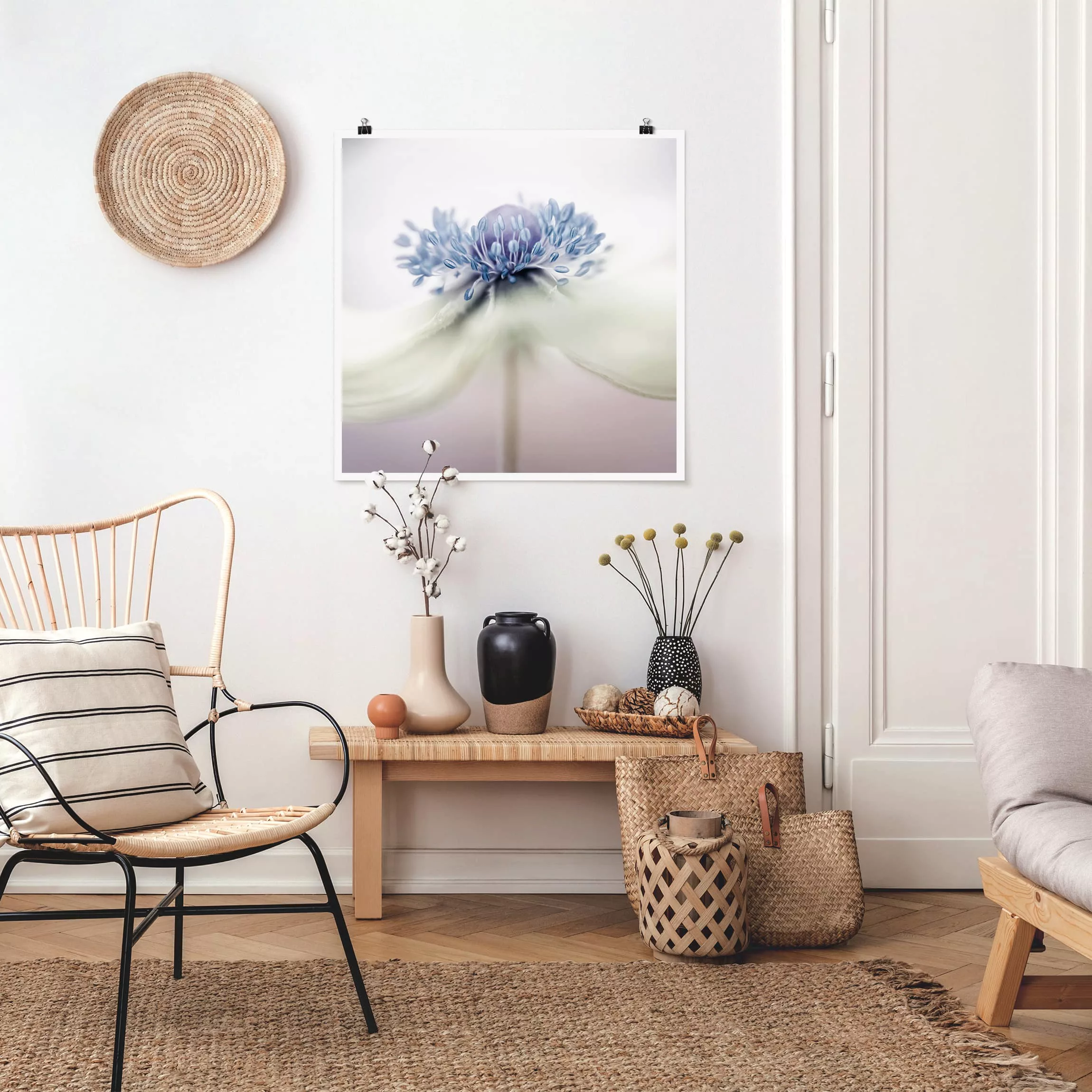 Poster Blumen - Quadrat Anemone in Violett günstig online kaufen