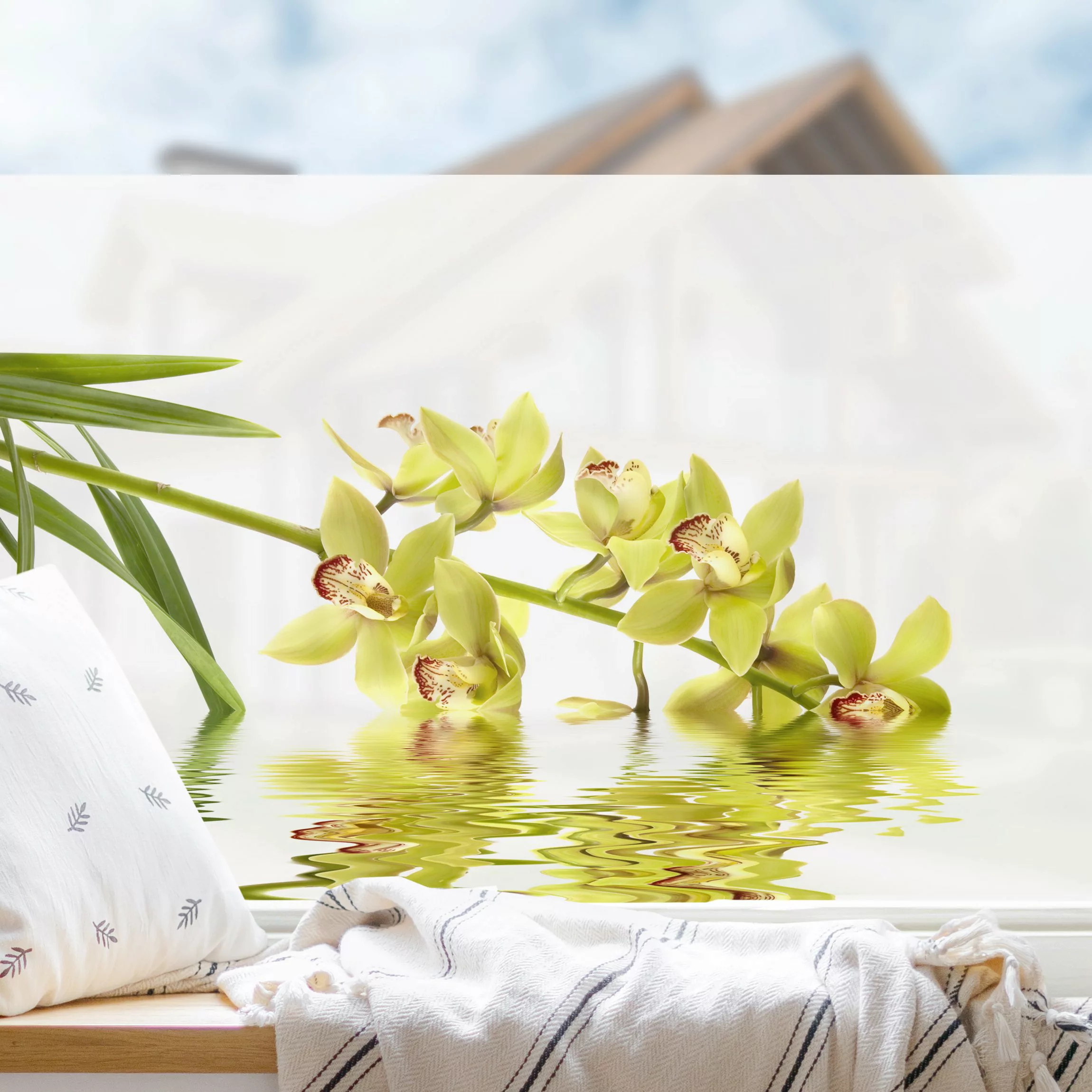 Fensterfolie Elegant Orchid Waters günstig online kaufen