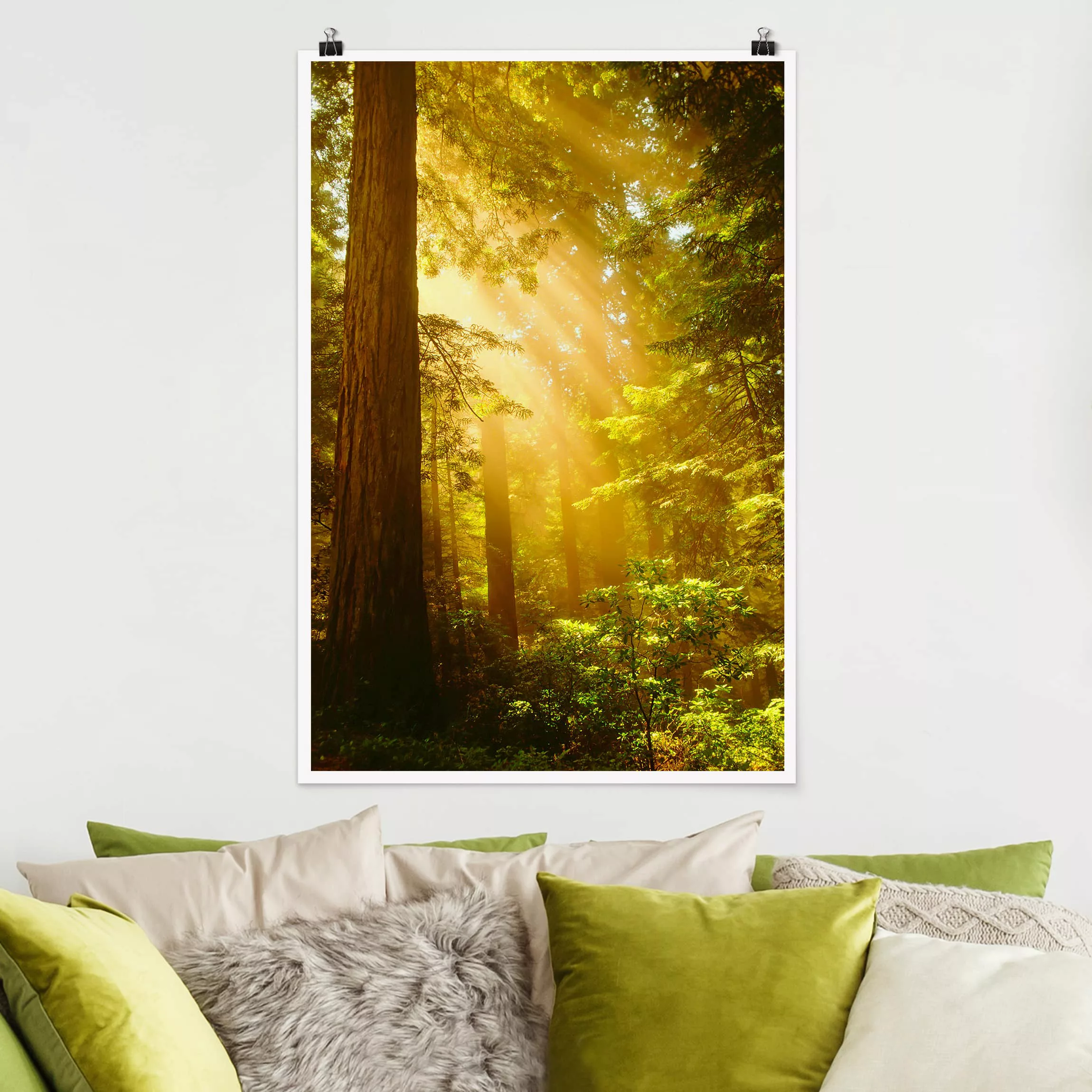 Poster Wald - Hochformat Morgengold günstig online kaufen
