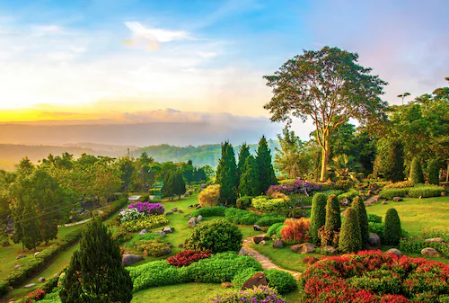 Papermoon Fototapete »GARTEN-BLUMEN BÄUME PFLANZEN PARK STEINE WALD BLÜTEN« günstig online kaufen