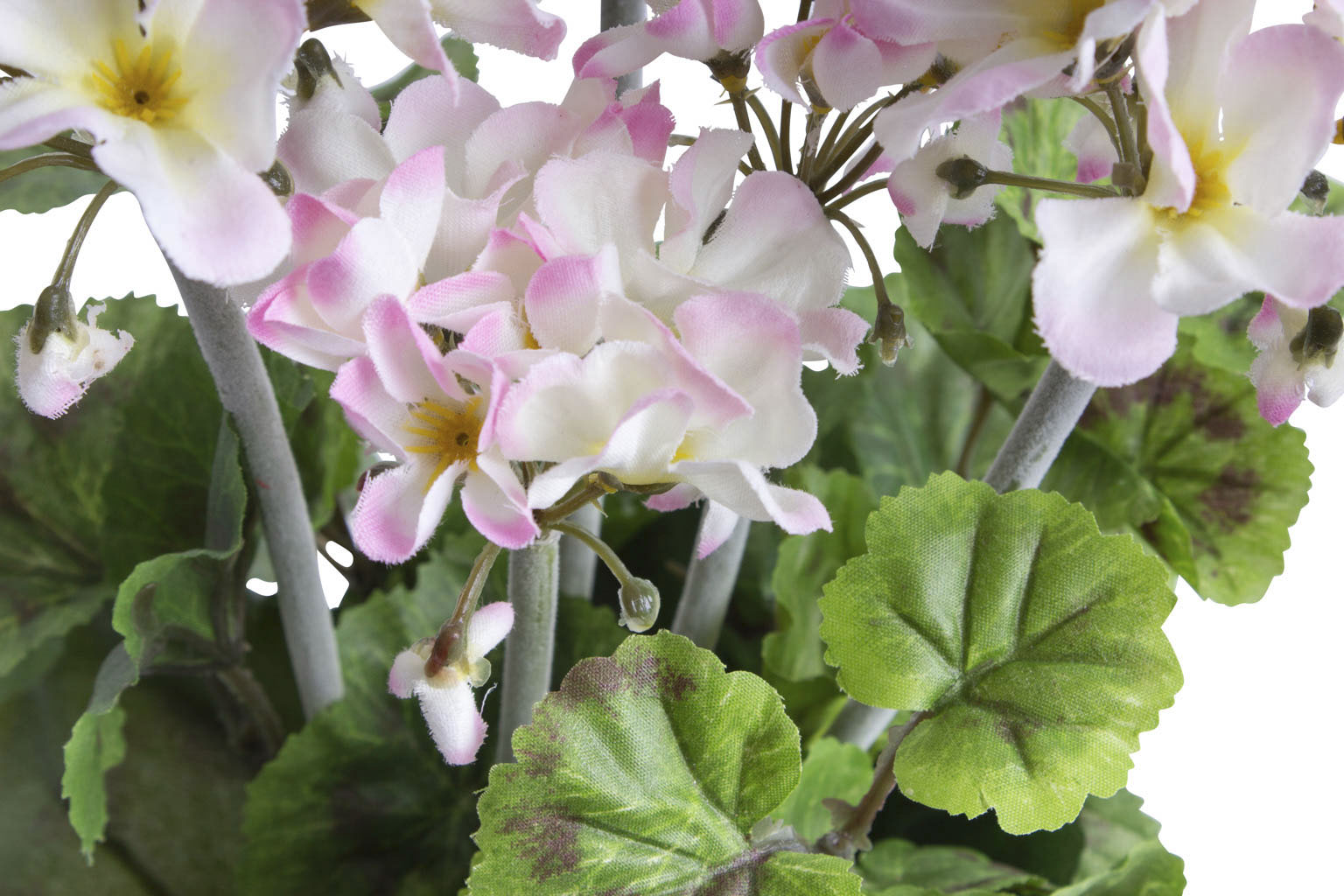 Botanic-Haus Künstliche Zimmerpflanze "Geranienbusch im schwarzen Kunststof günstig online kaufen