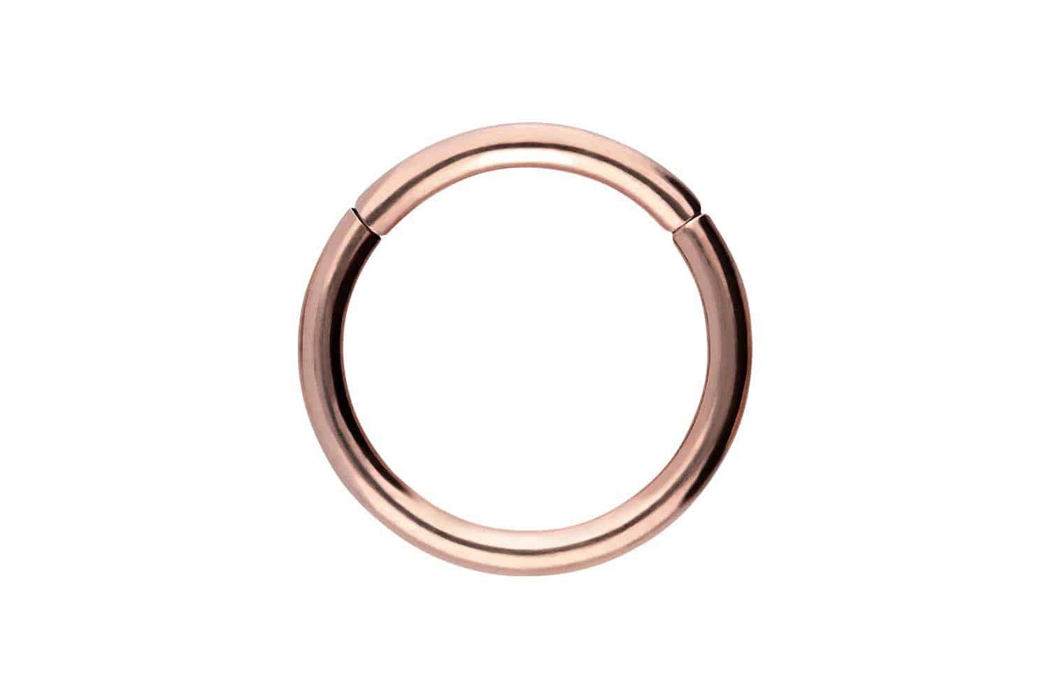 PIERCINGLINE Nasenpiercing Titan Segmentring Clicker (Clicker günstig online kaufen