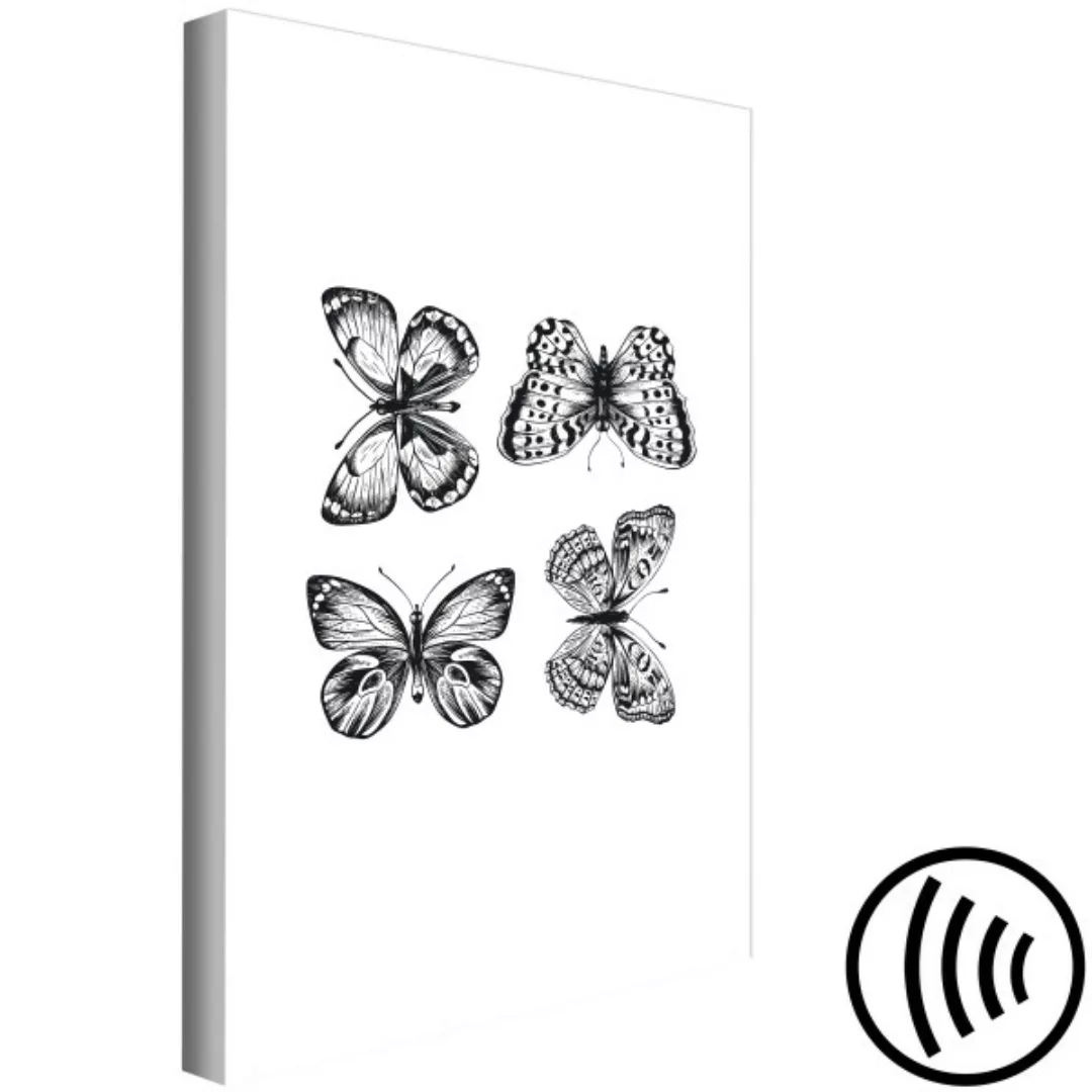 Leinwandbild Schmetterlingsfamilie - vier Schmetterlinge im Line-Art-Stil i günstig online kaufen