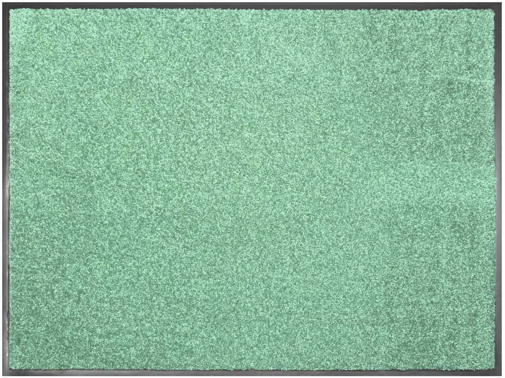 Primaflor Schmutzfangmatte Clean Mintgrün 120x180cm günstig online kaufen