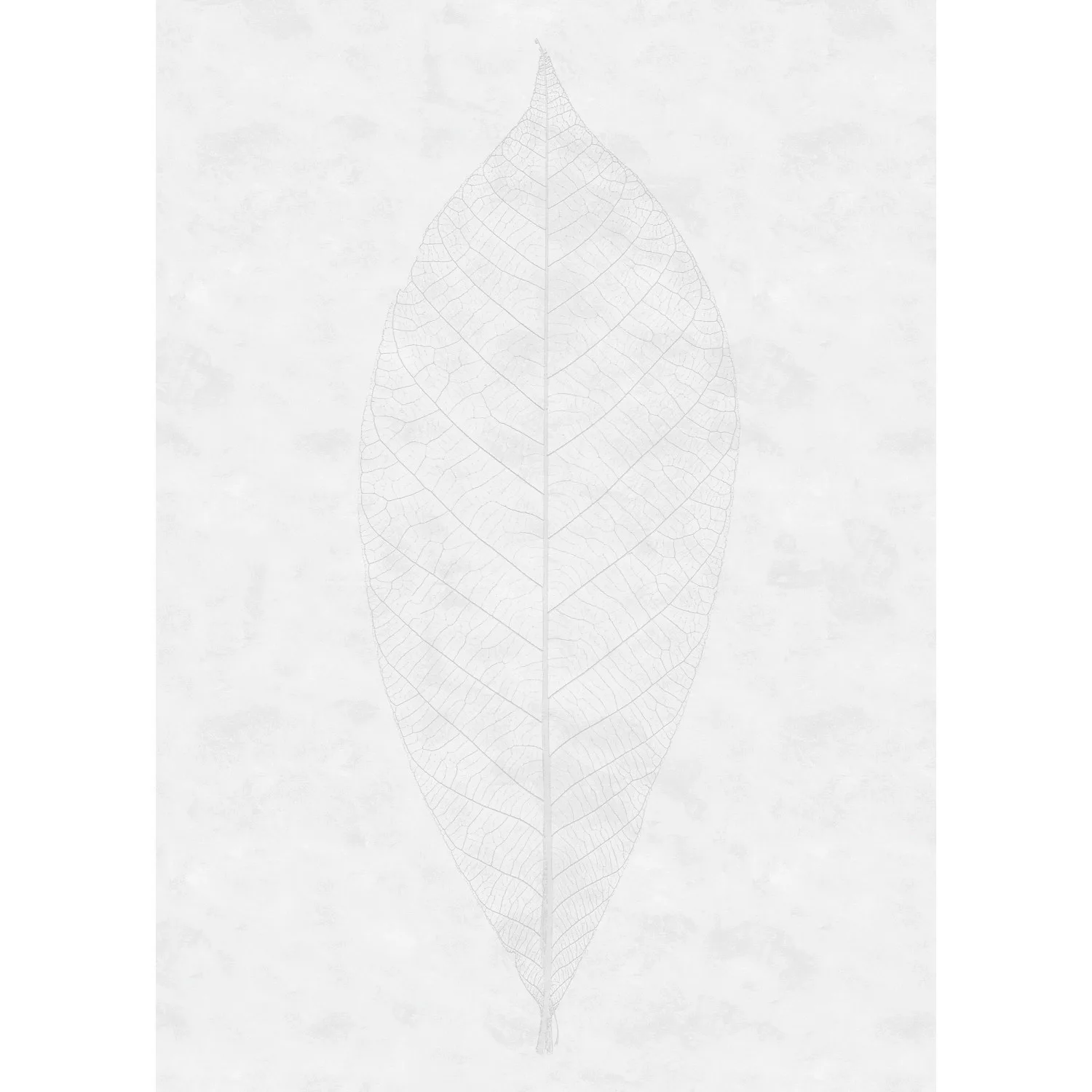 KOMAR Vlies Fototapete - Decent Leaf - Größe 200 x 280 cm mehrfarbig günstig online kaufen