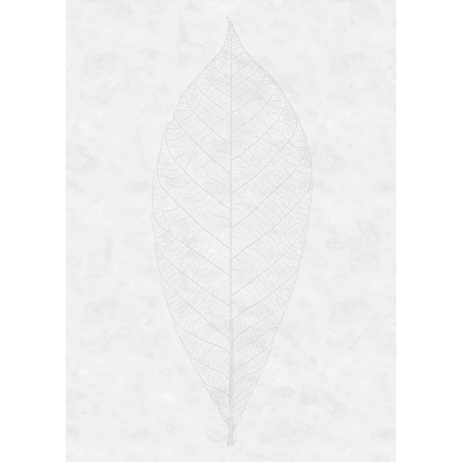 Komar Fototapete Vlies Decent Leaf  200 x 280 cm günstig online kaufen