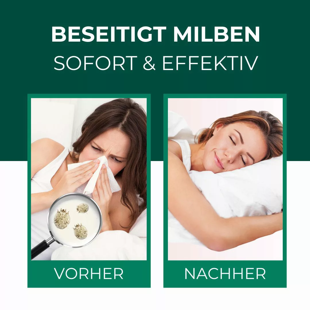 Silberkraft Insektenspray Silberkraft Milbenspray Sofa, Anti-Milben-Schutz günstig online kaufen