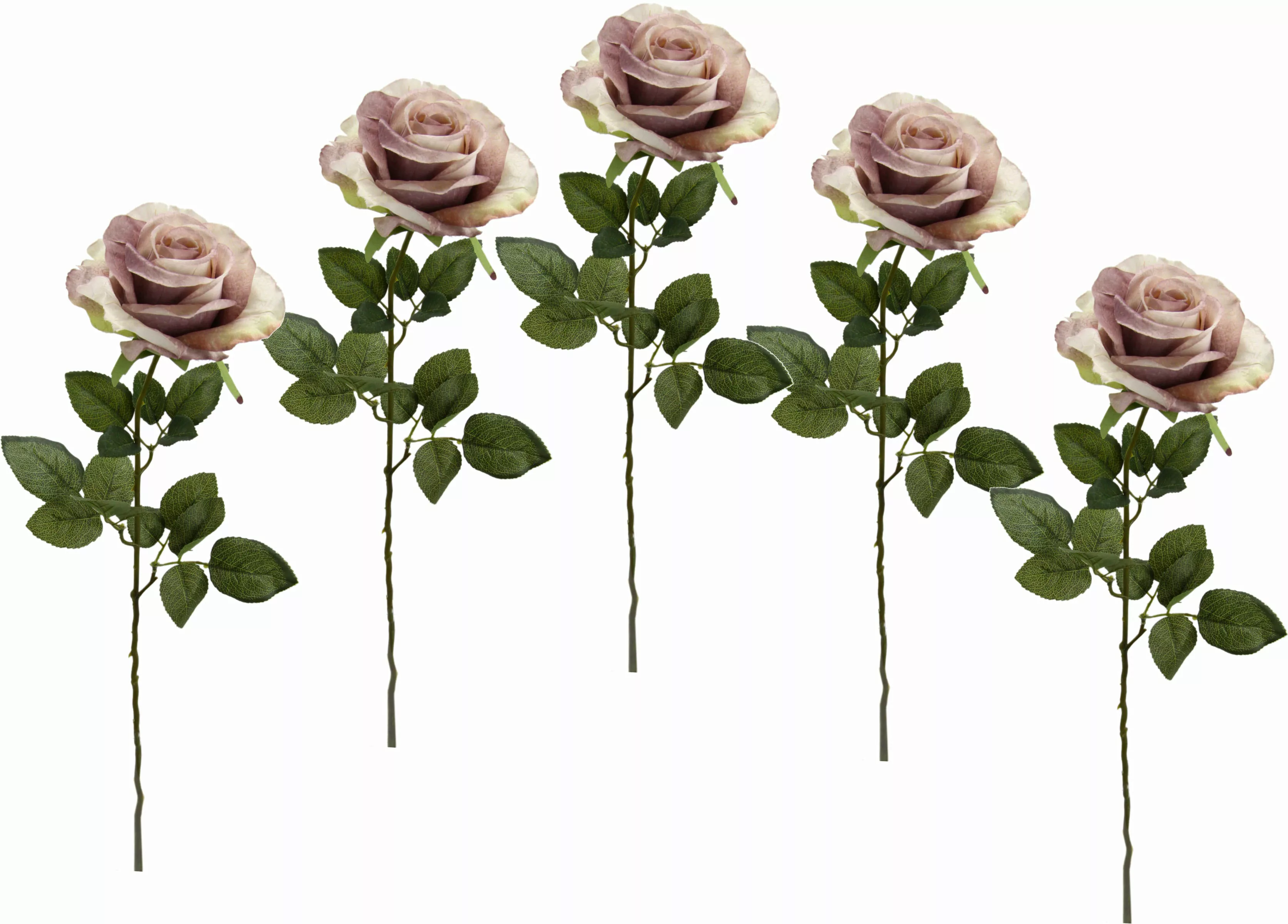 I.GE.A. Kunstblume "Rose", 5er Set günstig online kaufen